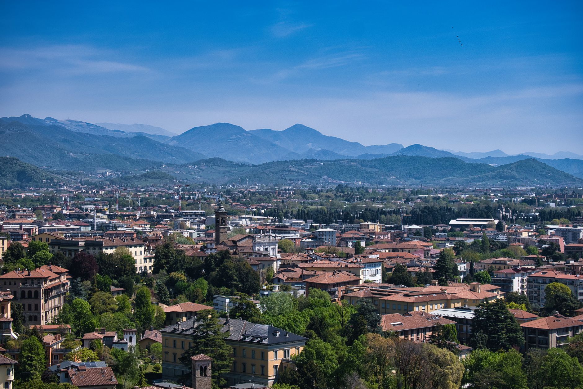 Accademia Carrara