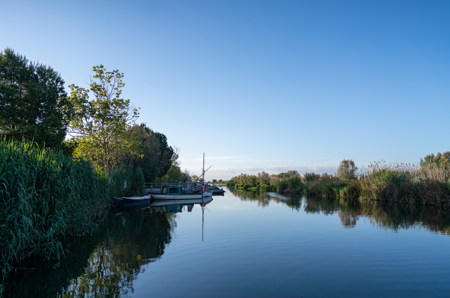 Albufera Doğal Parkı