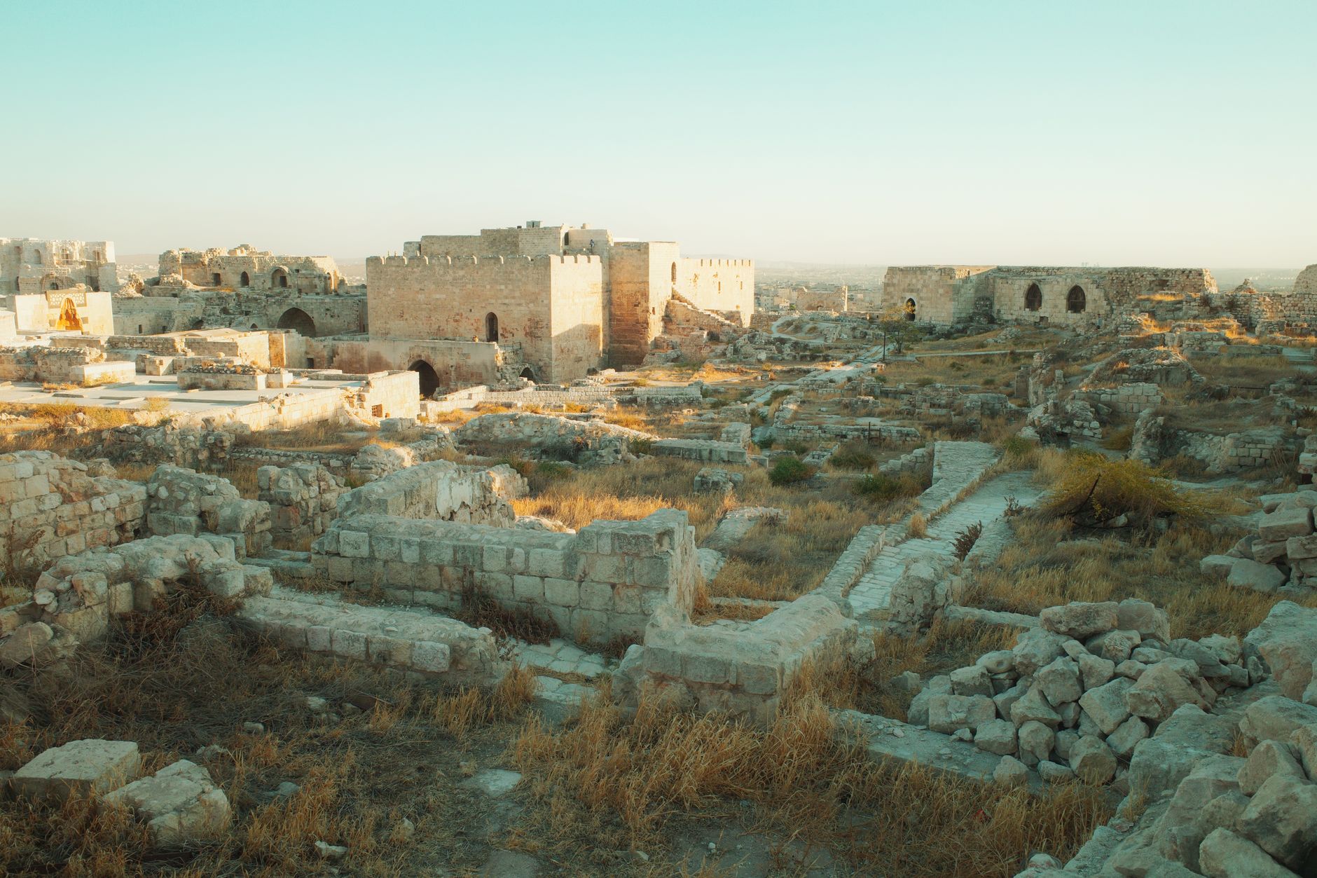 The Citadel of Aleppo
