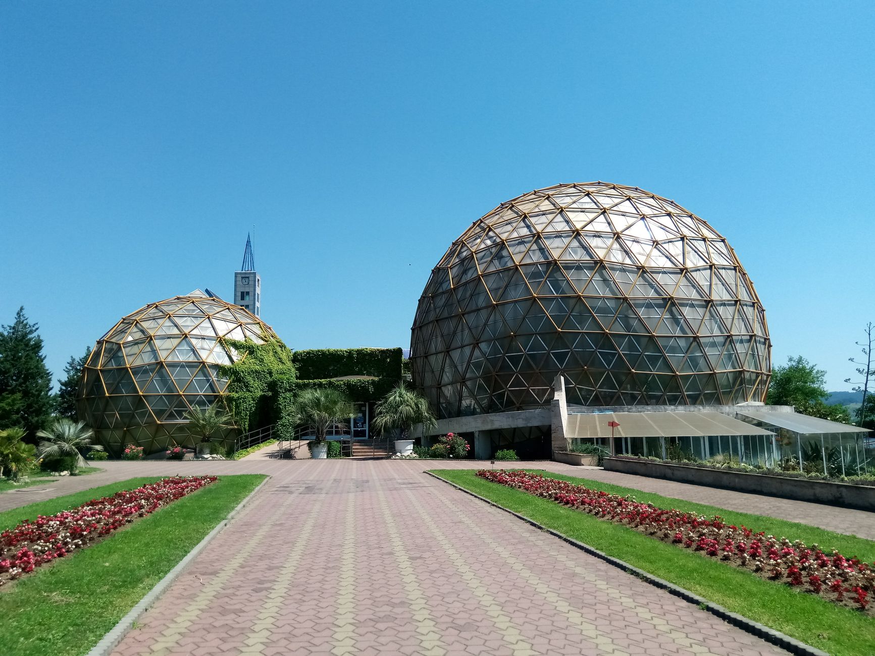 The Botanical Garden