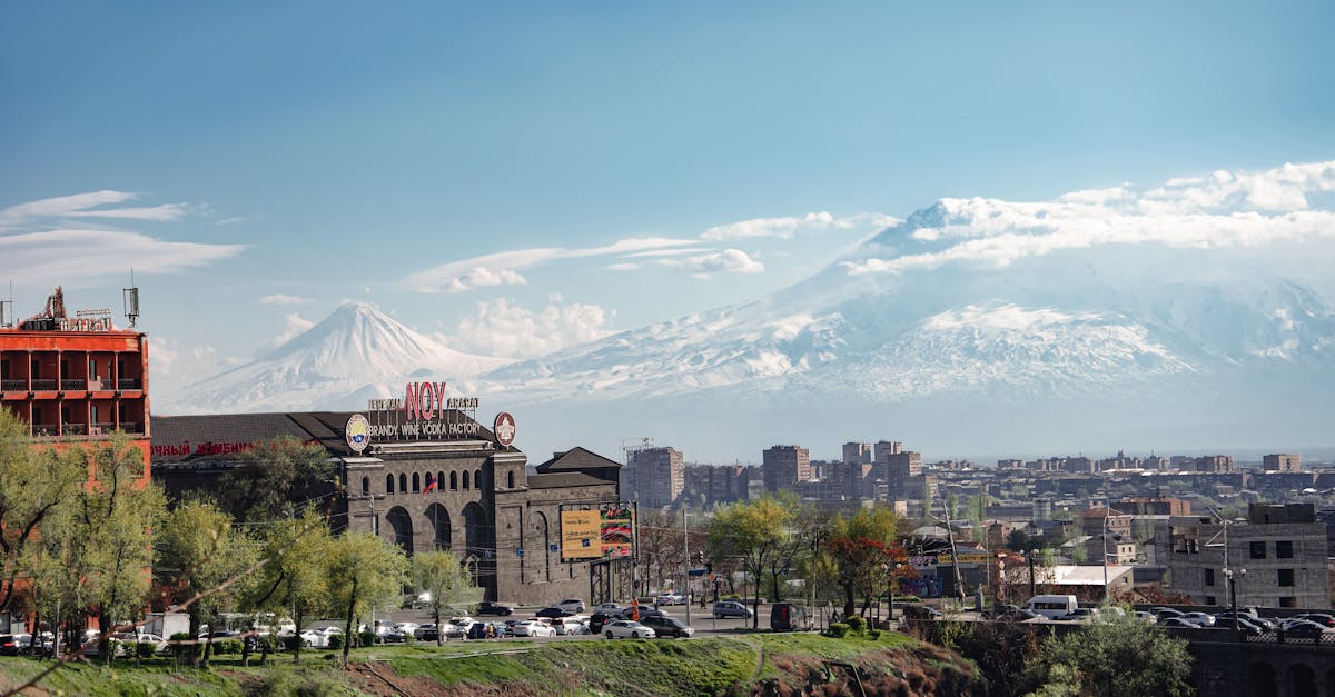 Areni şarap turu