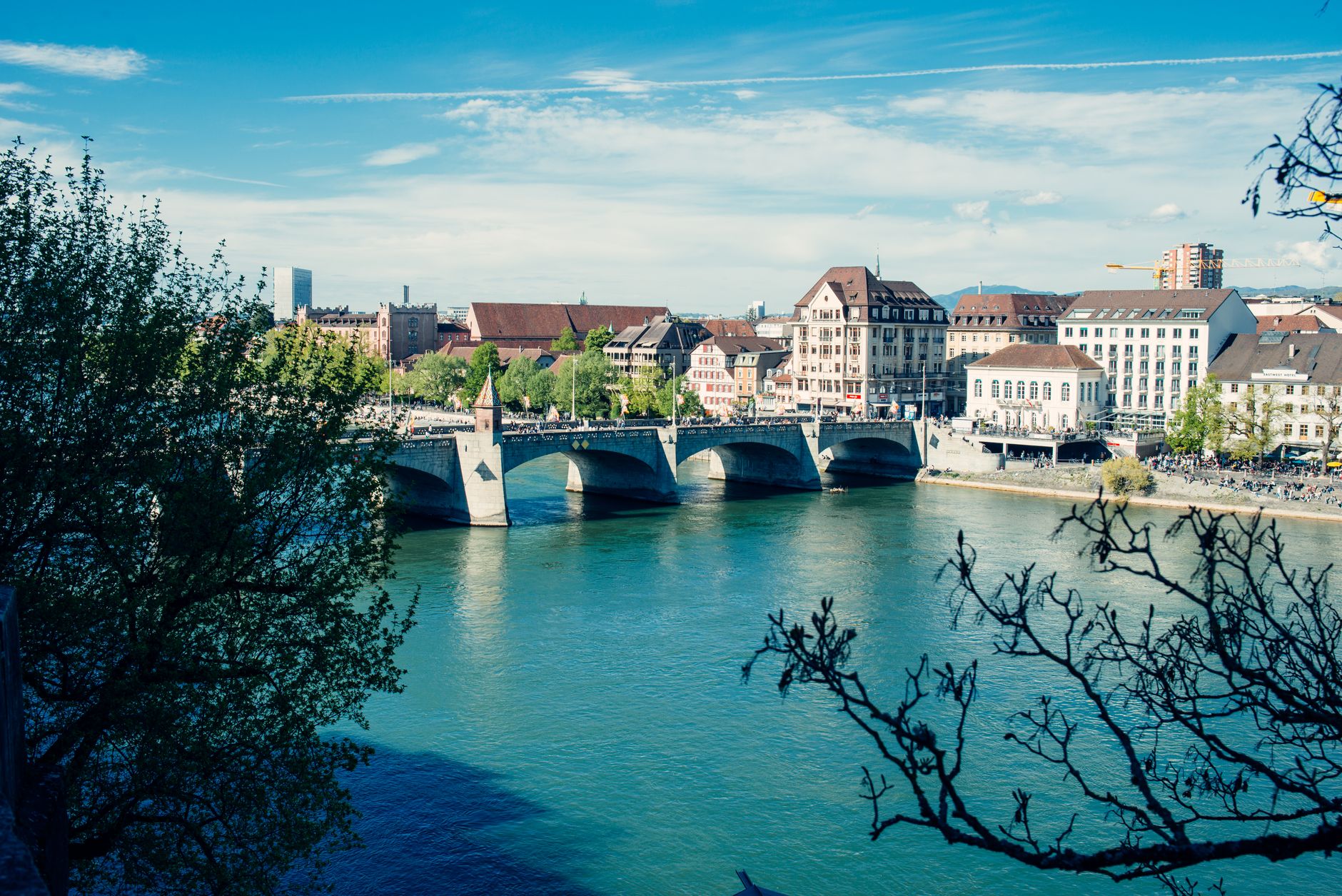 The Rhine banks and reaction ferries