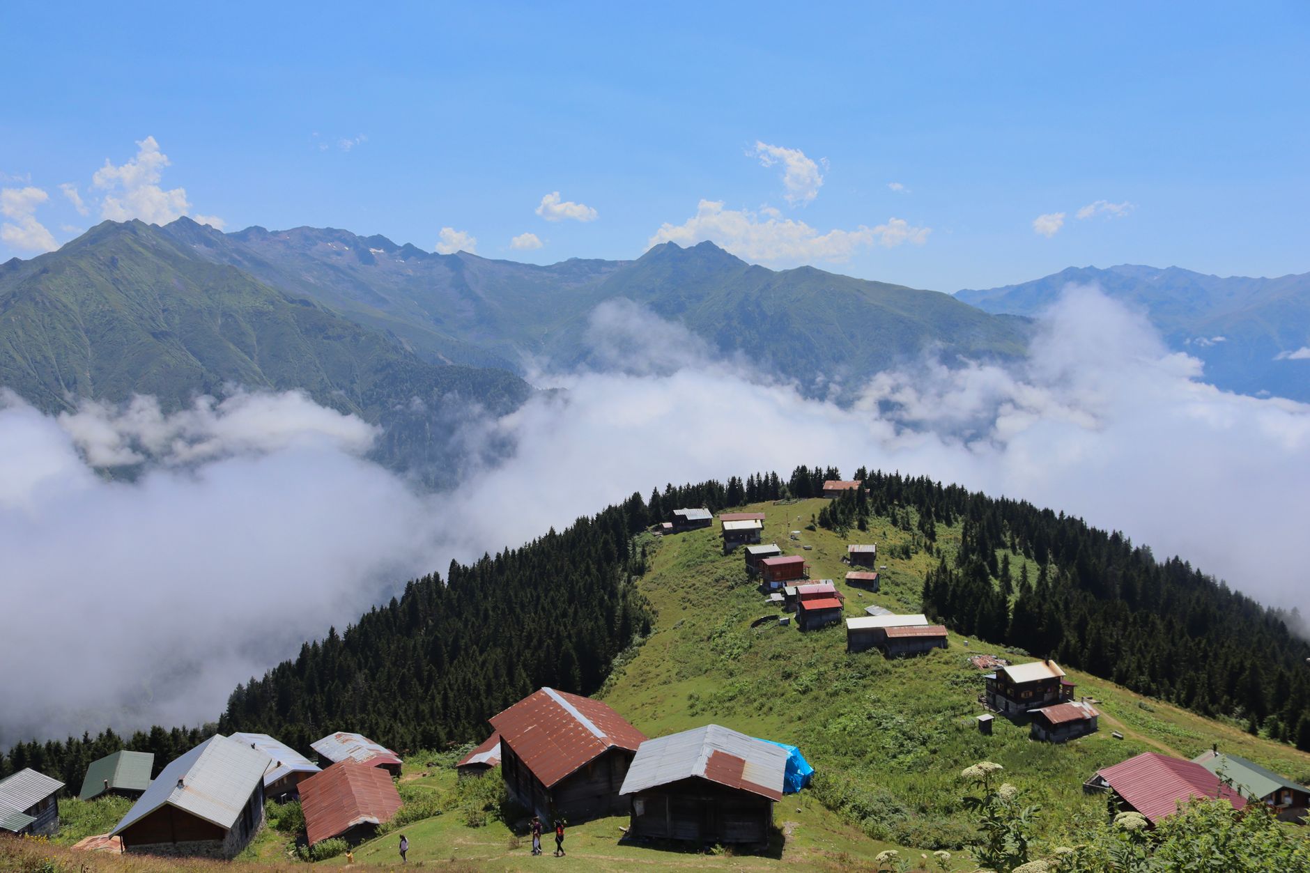 Anzer Balı ve Yayla Kahvaltısı