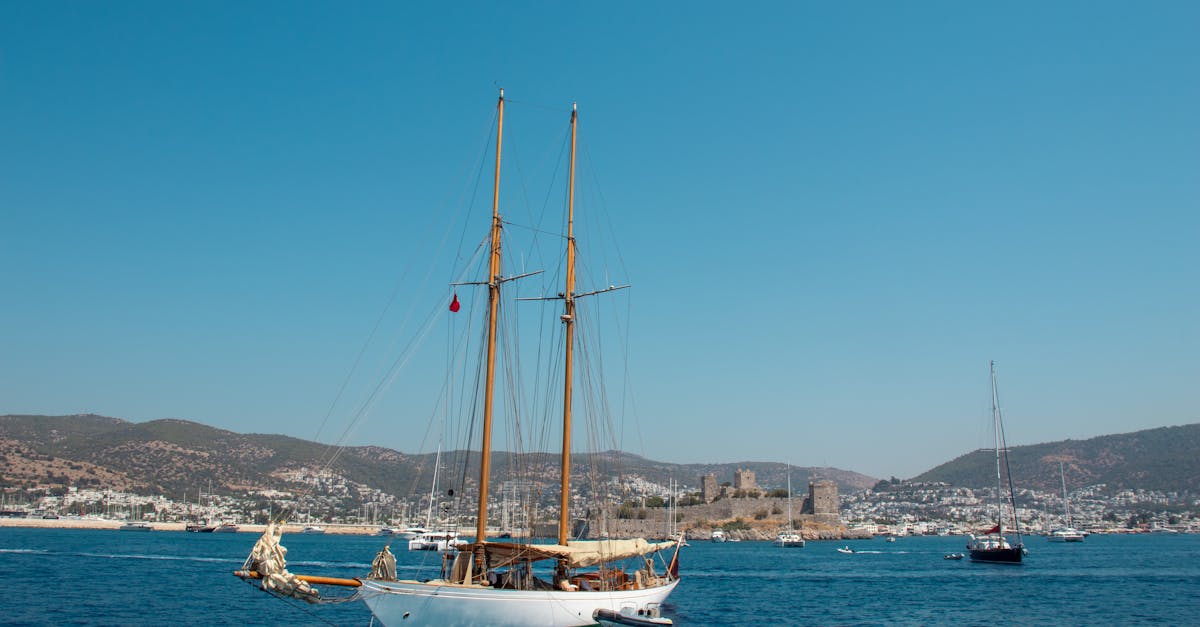 Bodrum koyları (tekne turu)