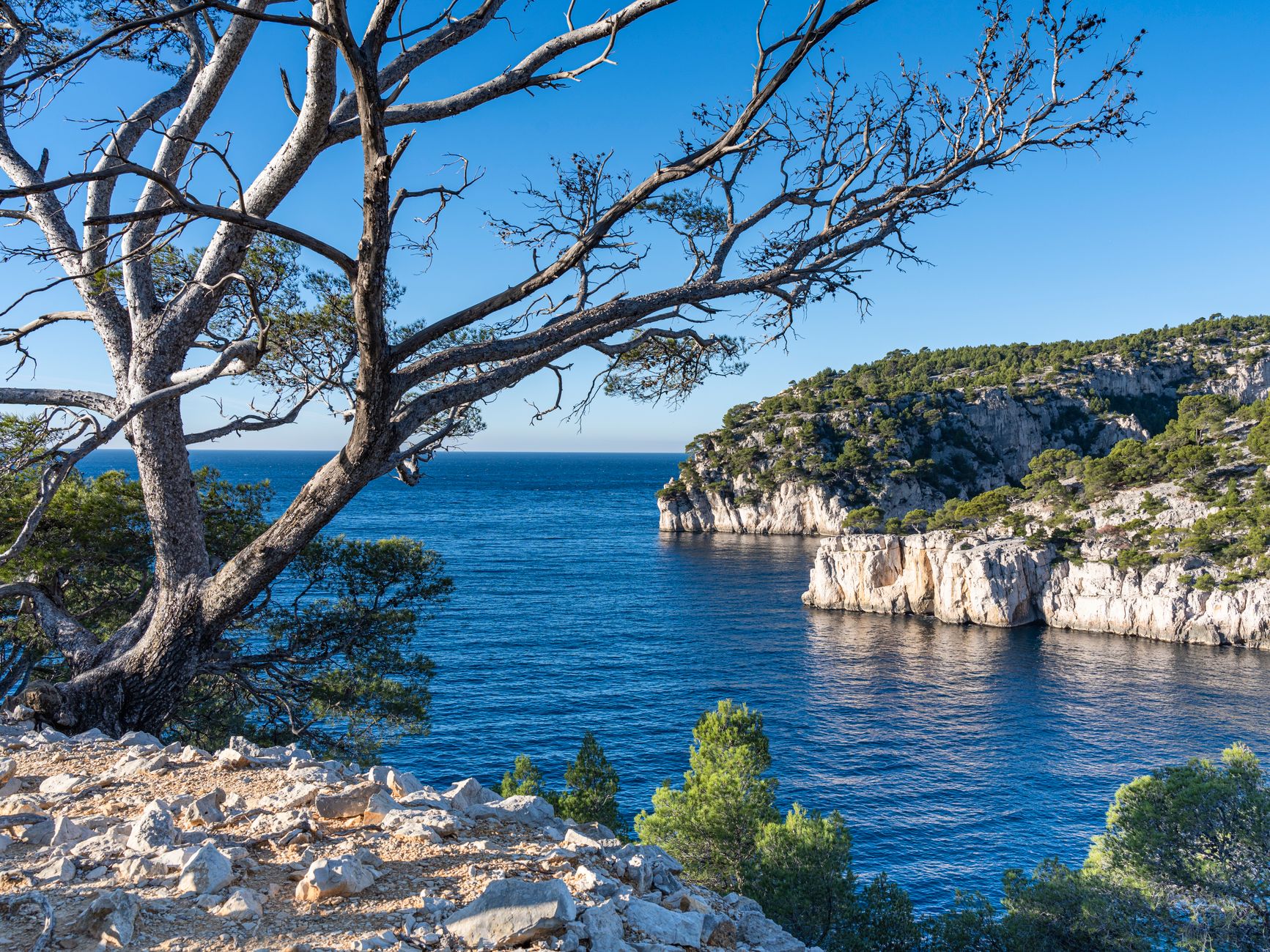 Cassis ve Provence gezisi