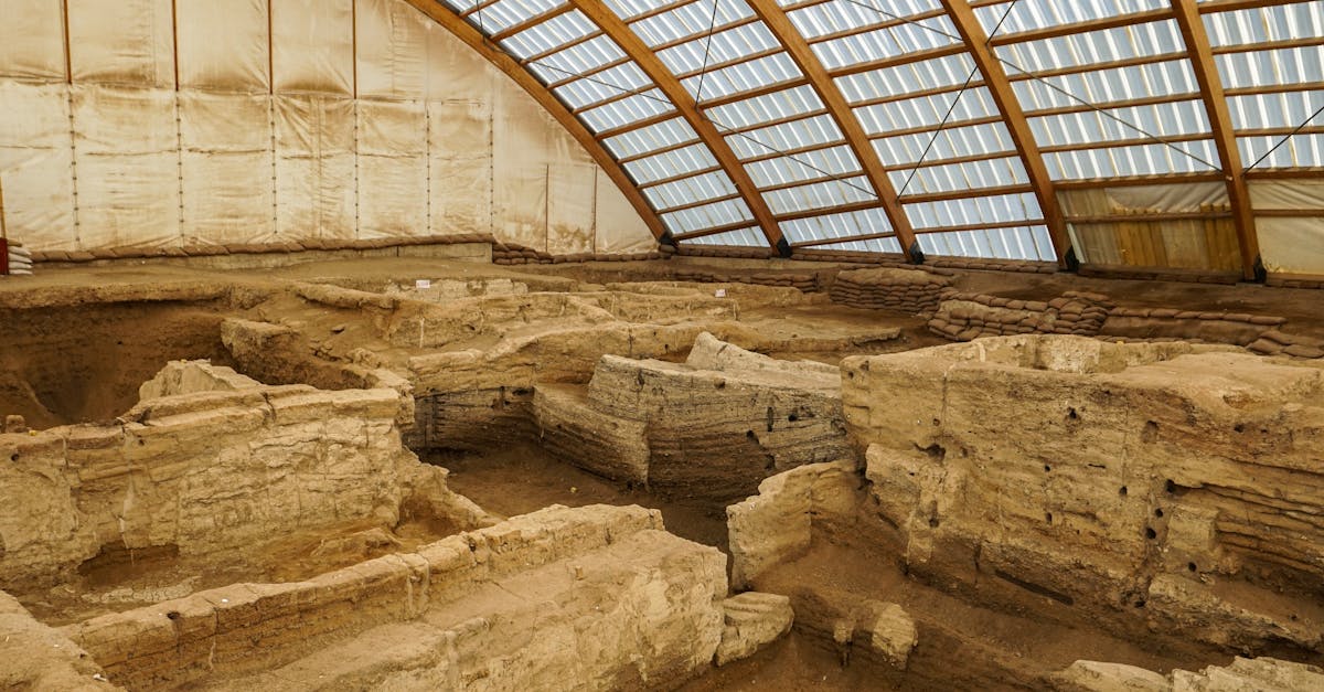 Çatalhöyük (günübirlik)