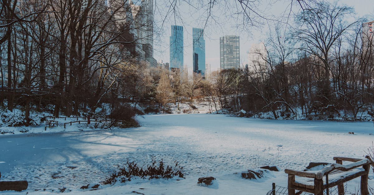 Central Park + Met Müzesi