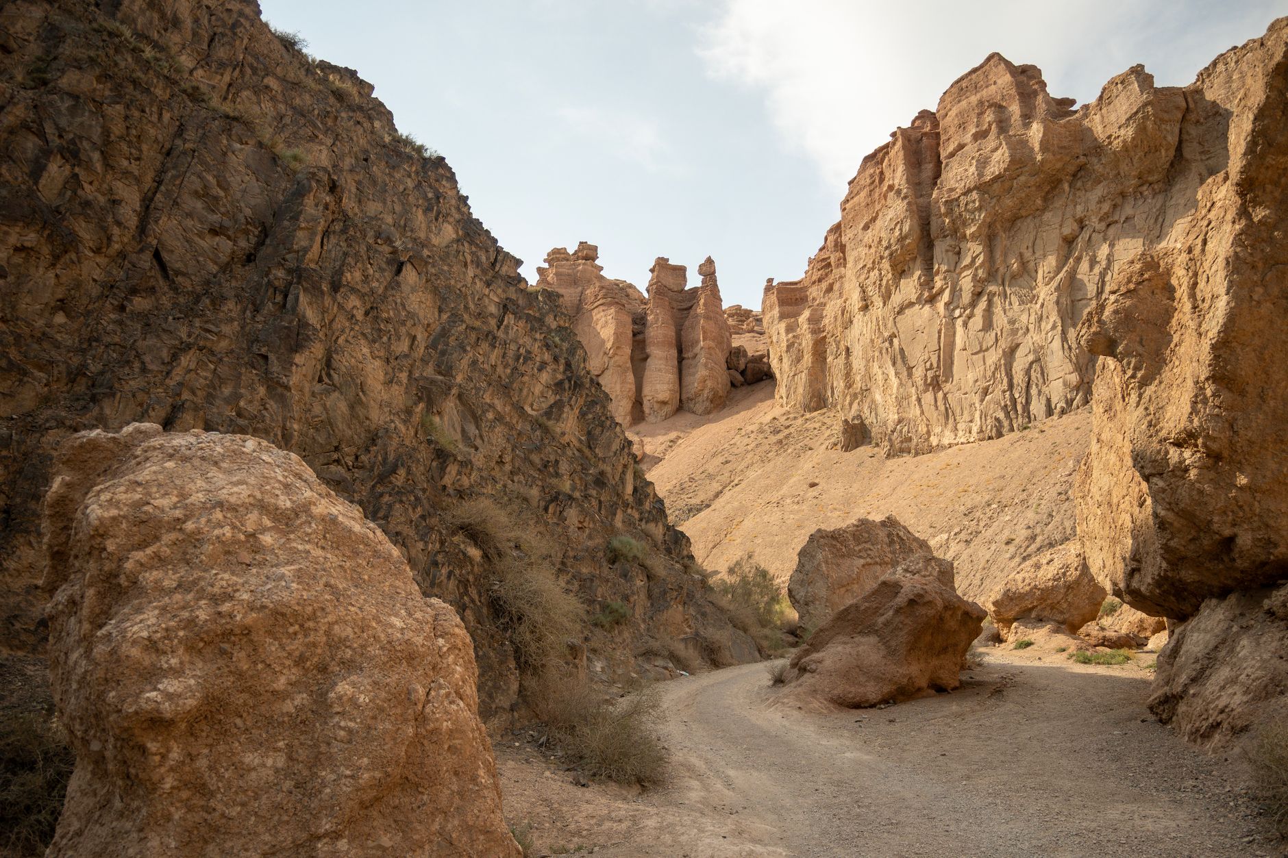 The Charyn Canyon