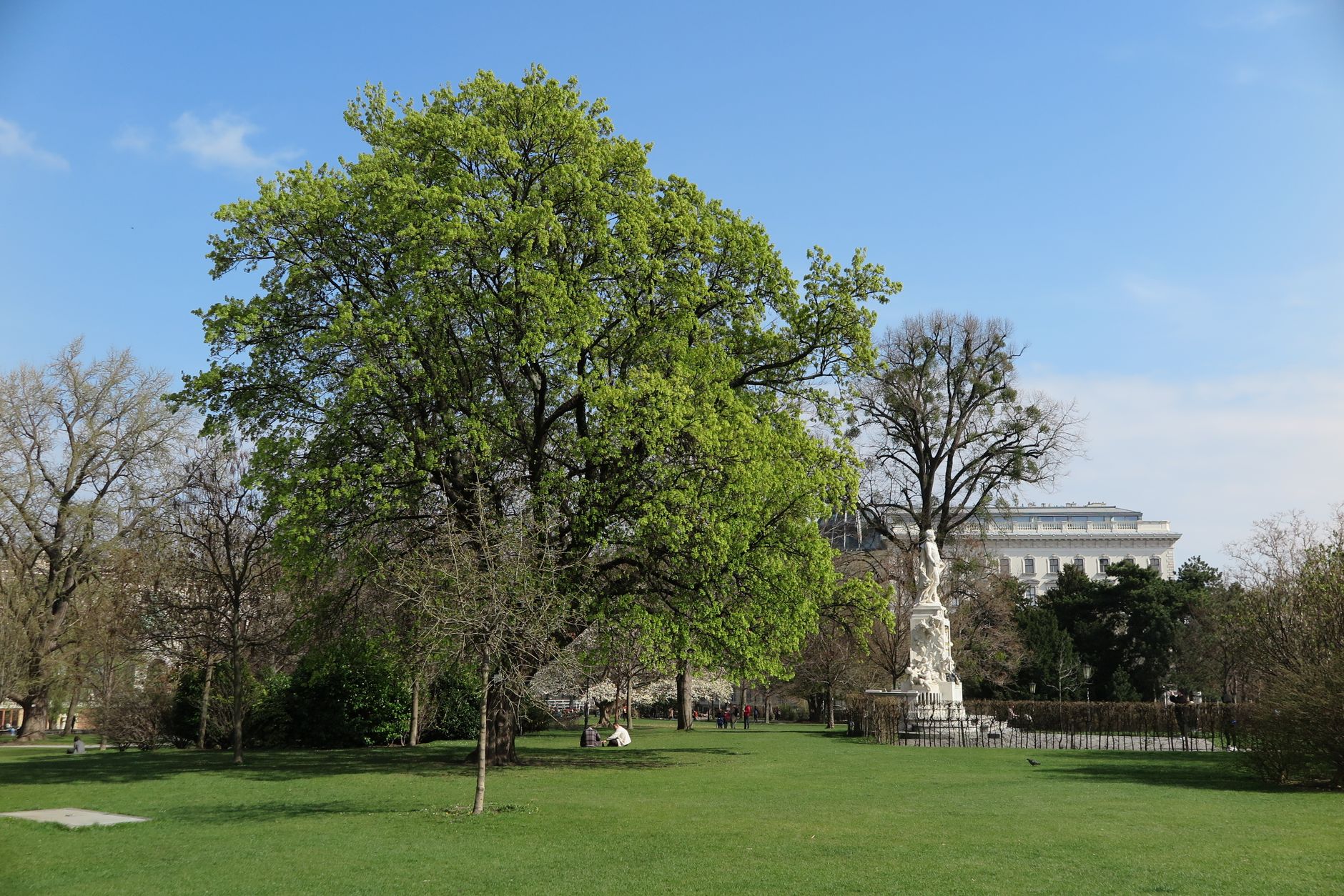 Copou Park