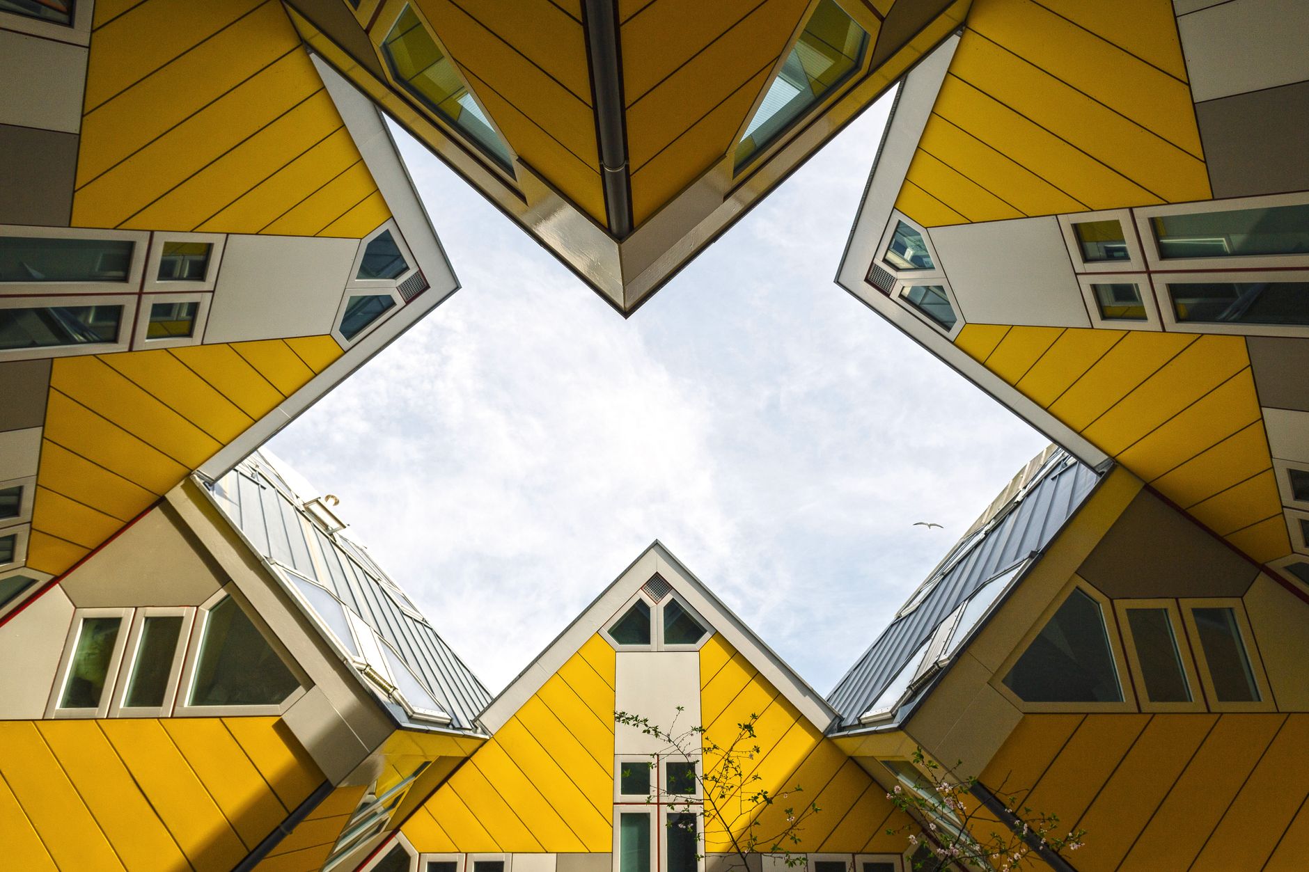 The cube houses