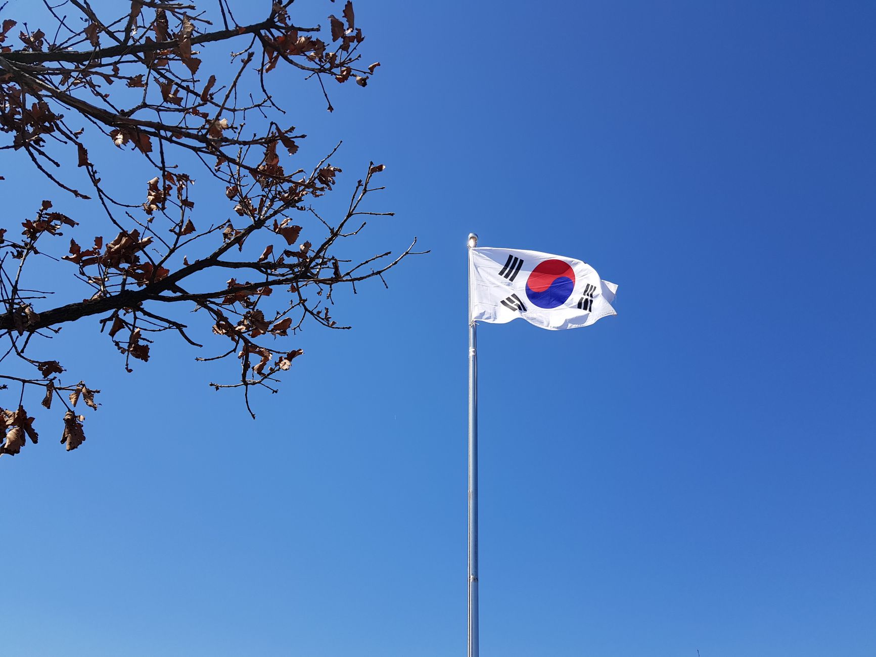 DMZ (Kuzey Kore sınırı)