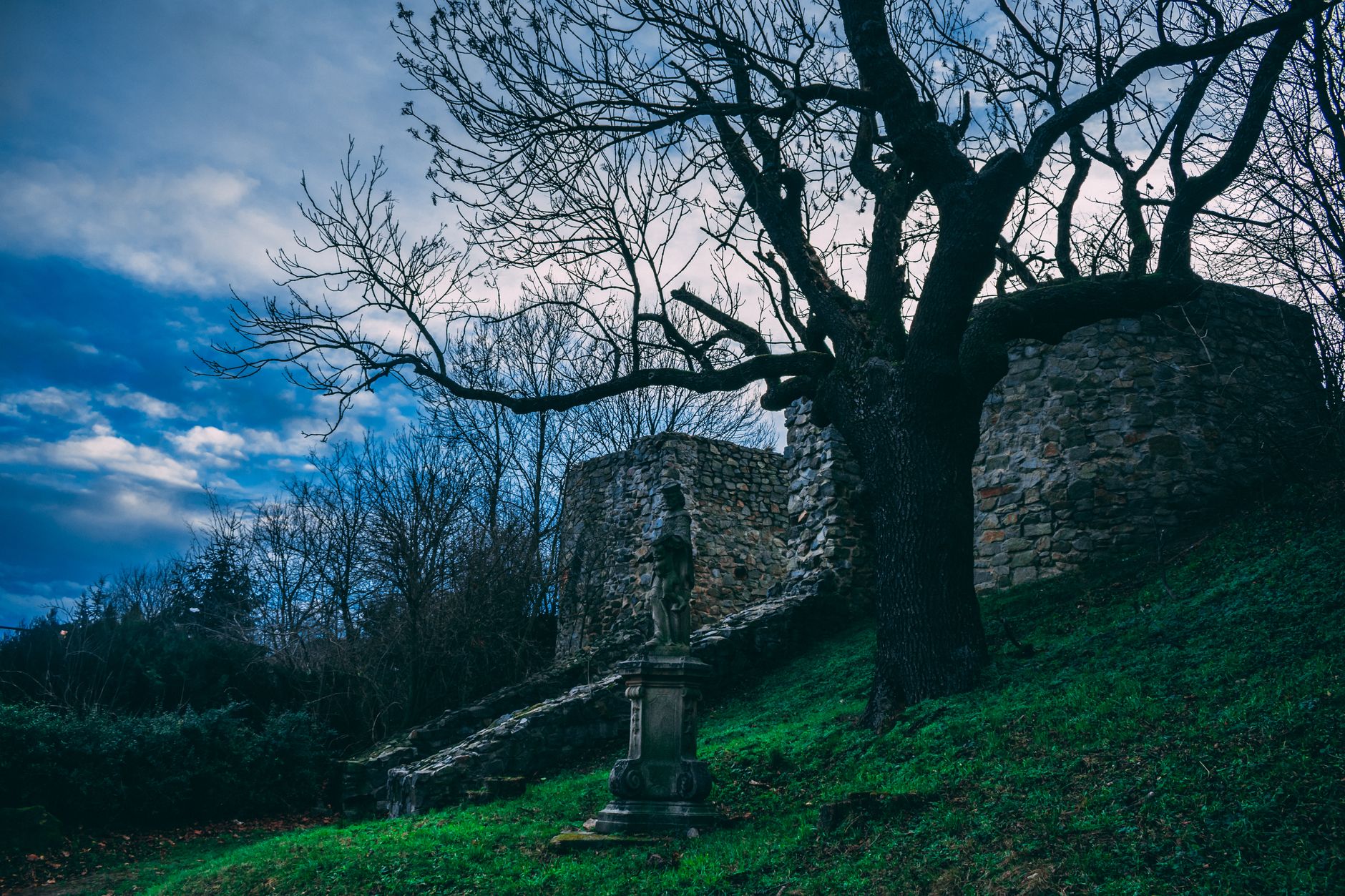 Devin Castle