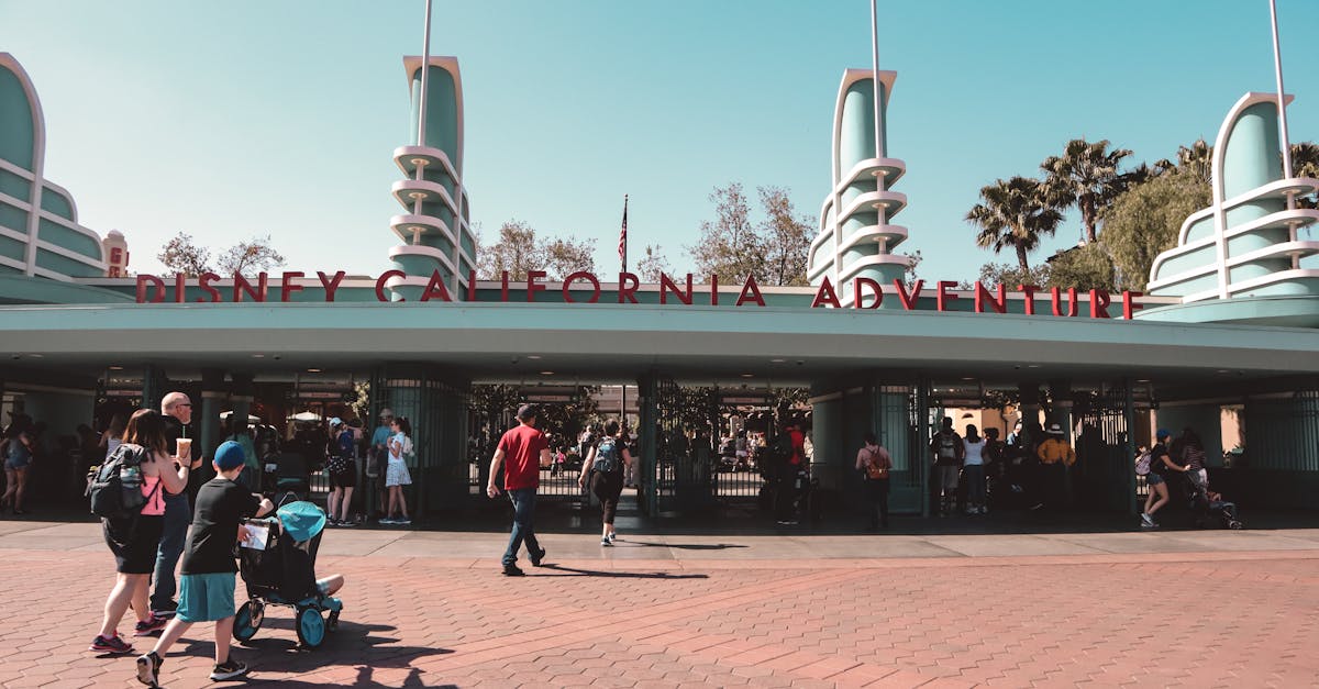 Disneyland (günübirlik)