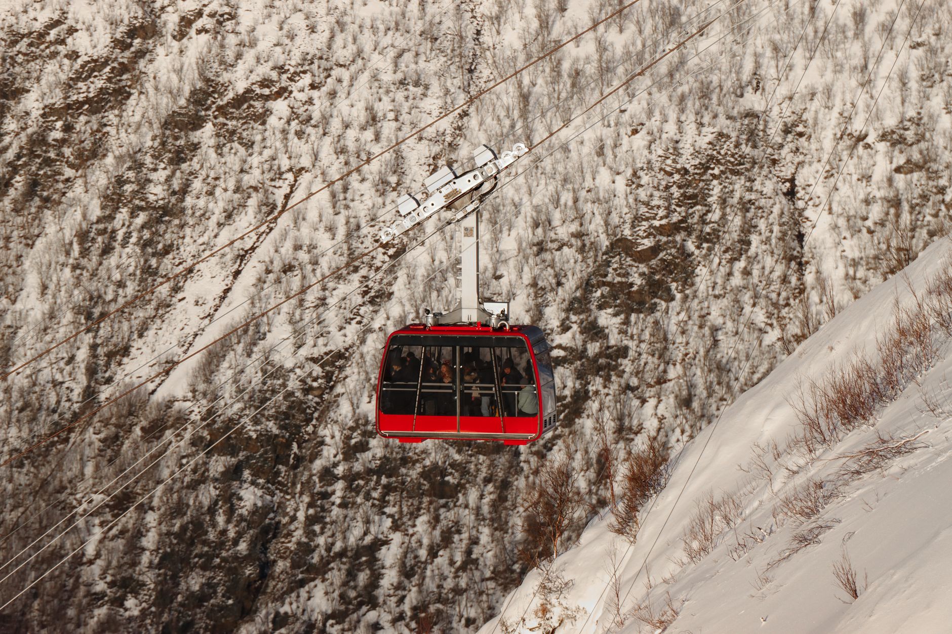 Fjellheisen Teleferiği