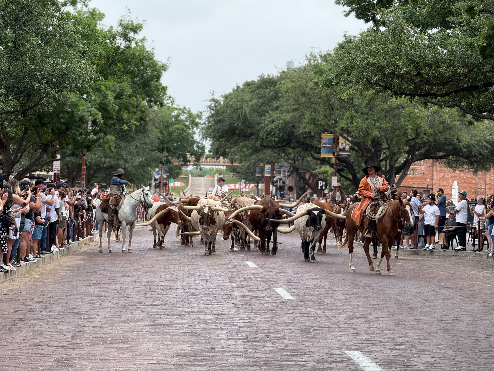Fort Worth Stockyards