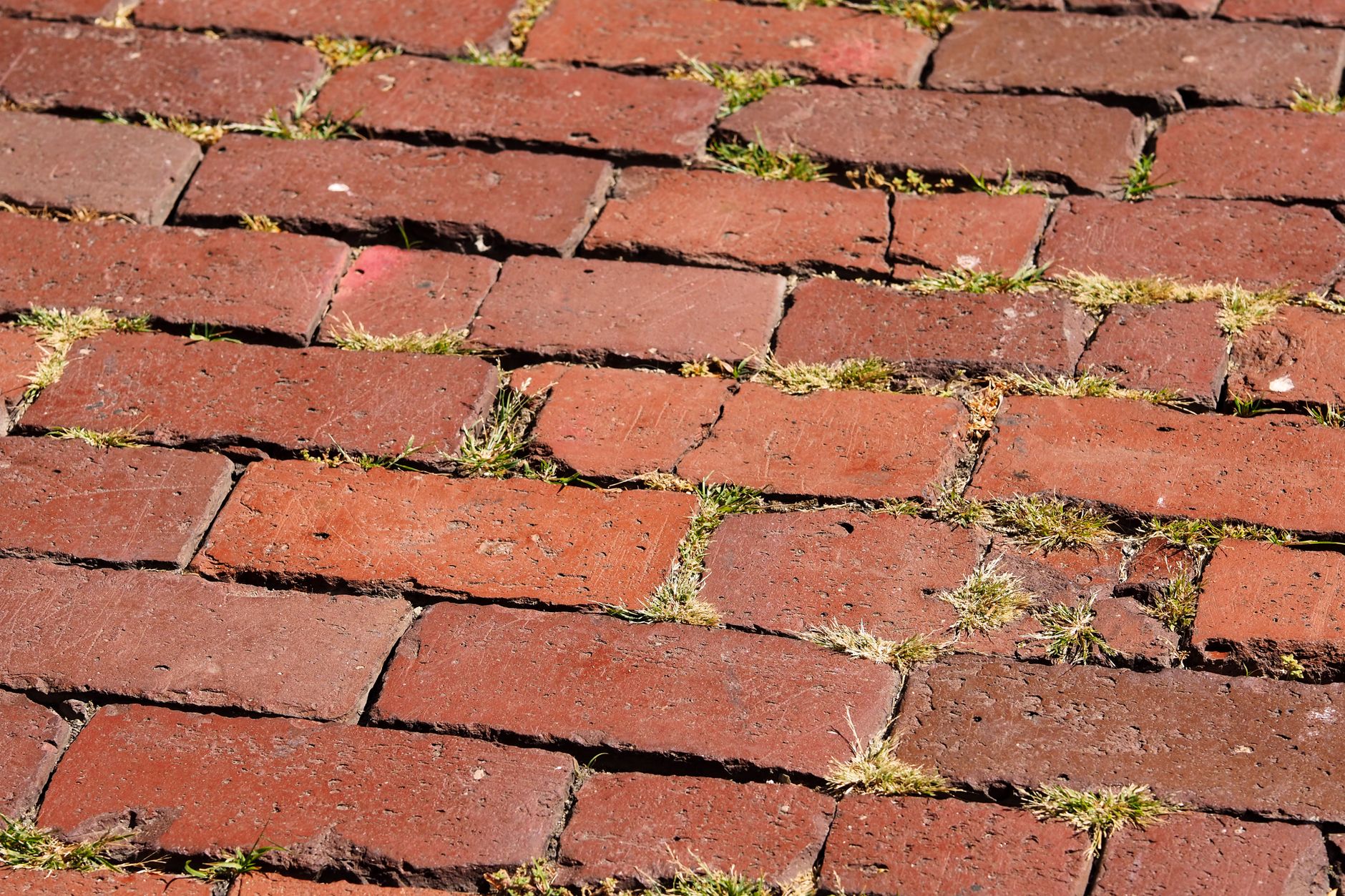 The Freedom Trail
