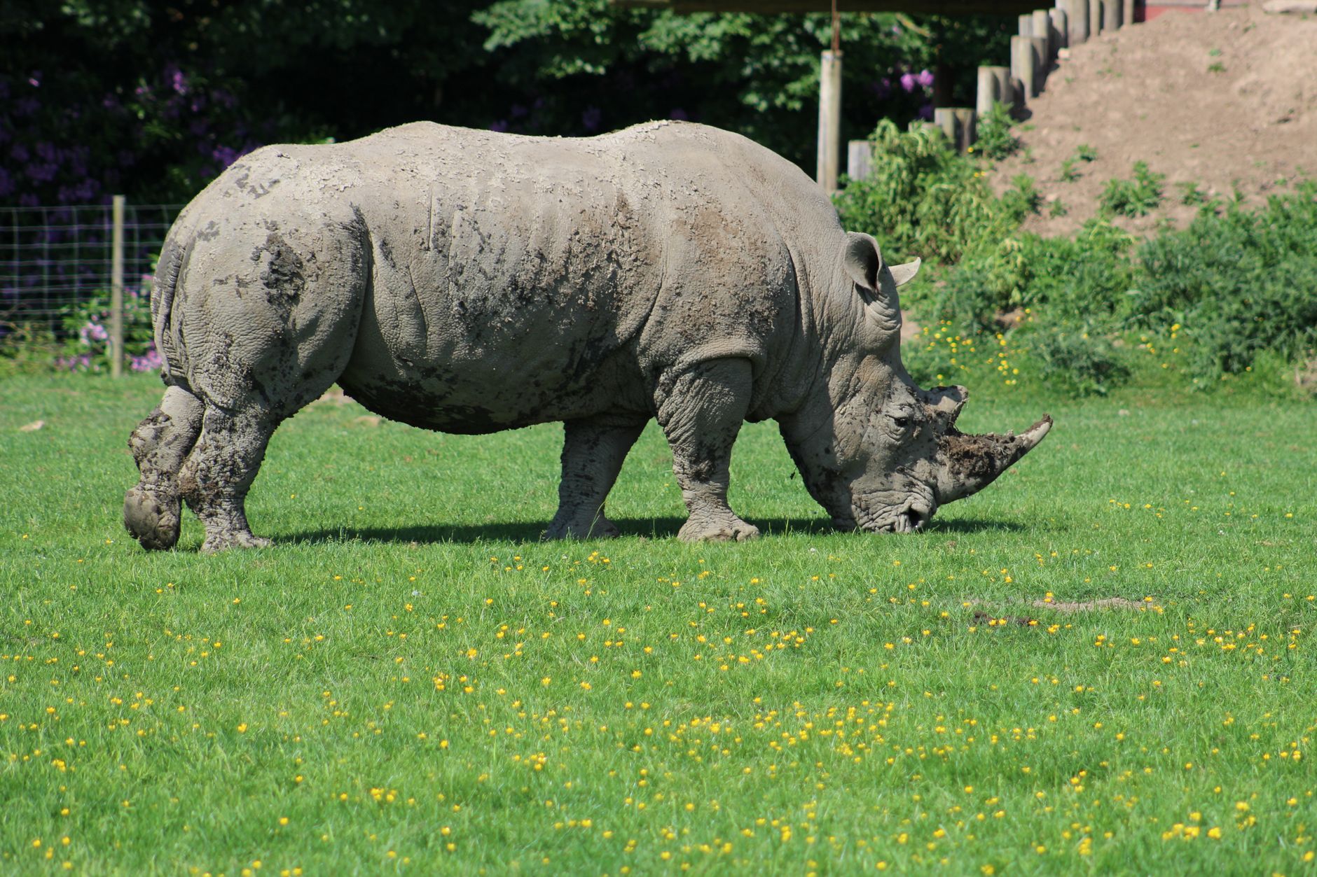 Givskud Zoo