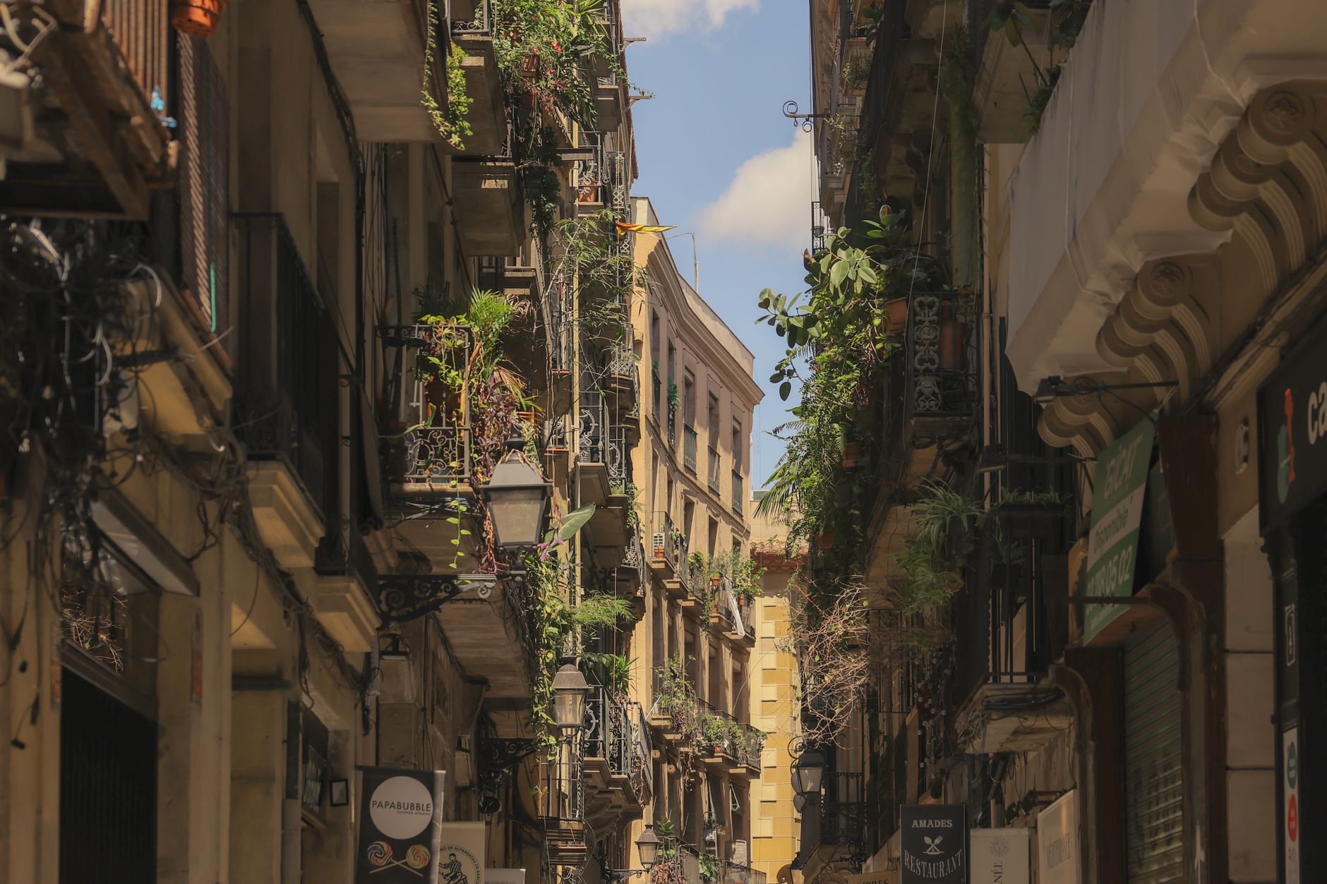 Gothic Quarter (Barri Gòtic)