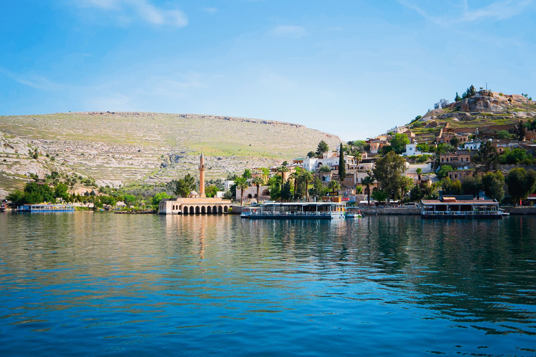 Halfeti