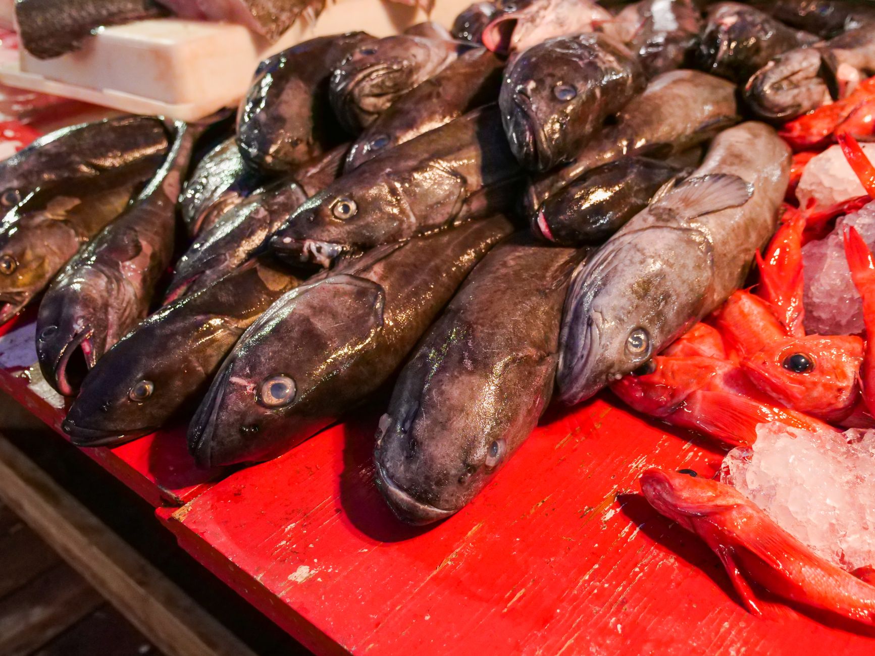 The Fish Market (Fischmarkt)