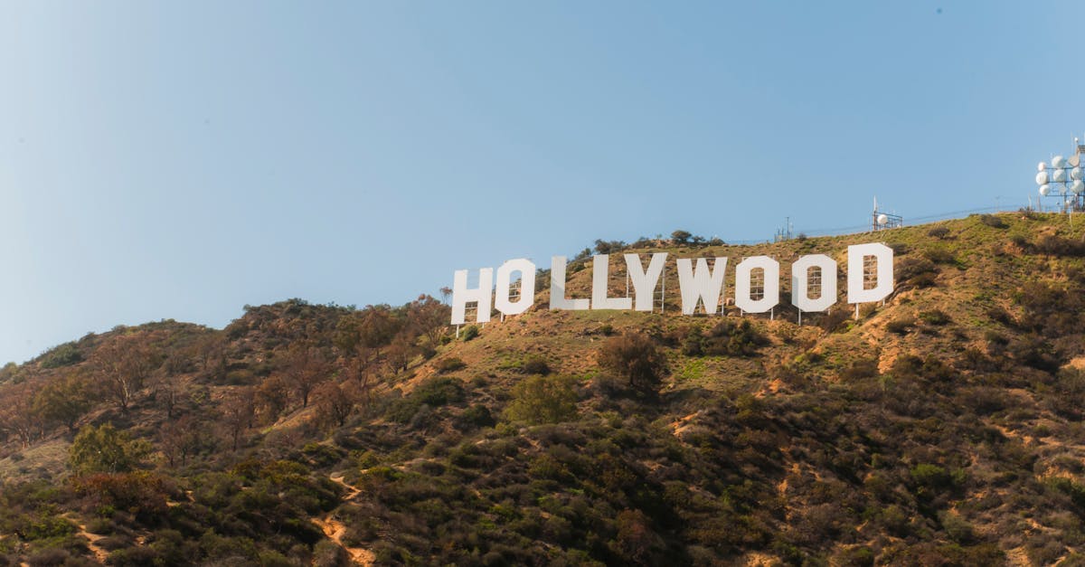 Hollywood + Yıldız Yolu