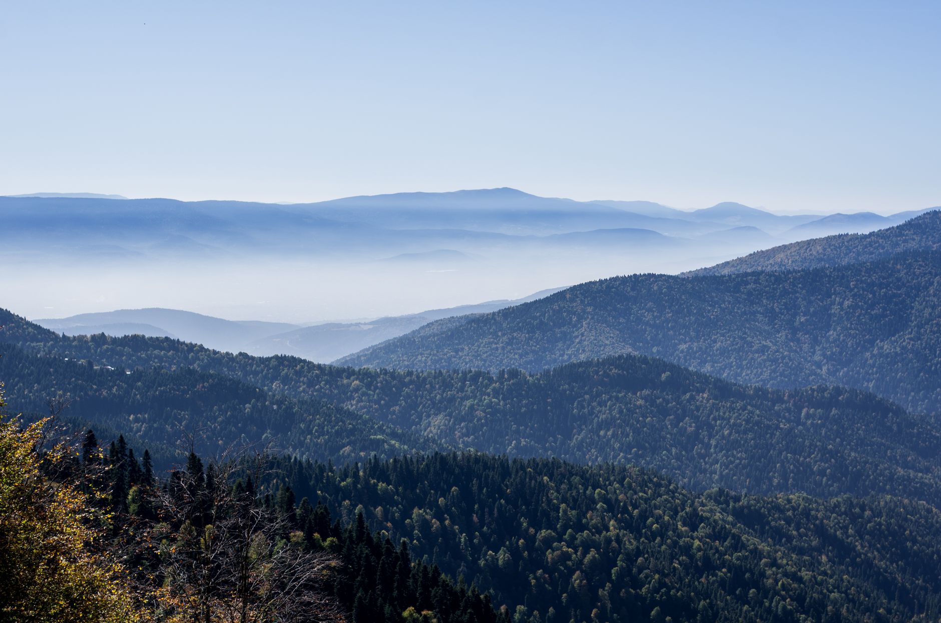 Ilgaz Dağı Milli Parkı