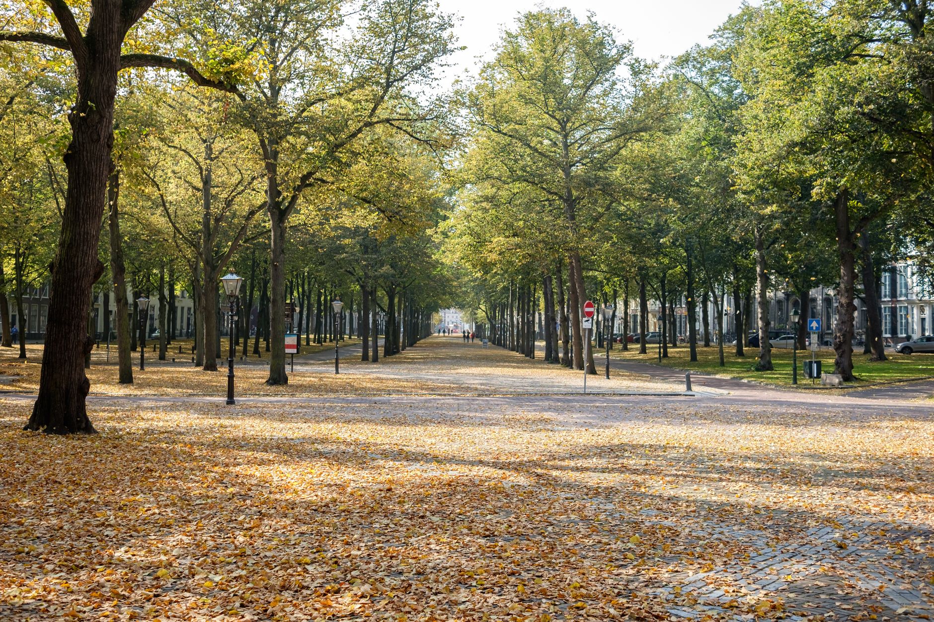 The Konigsallee