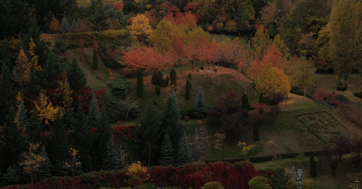 Kuğulu Park + Tunalı Hilmi