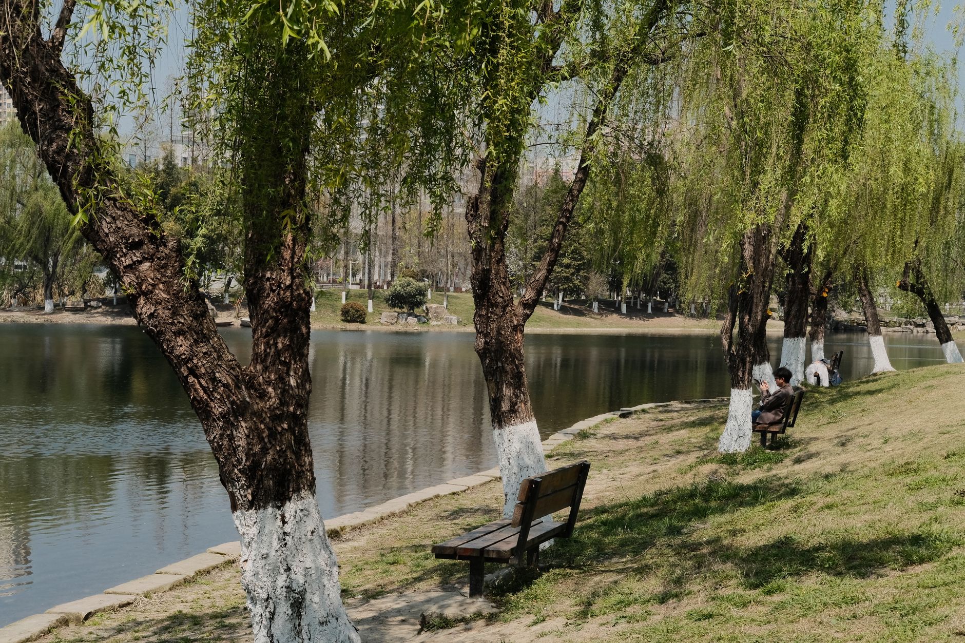Kuh Sangi Park
