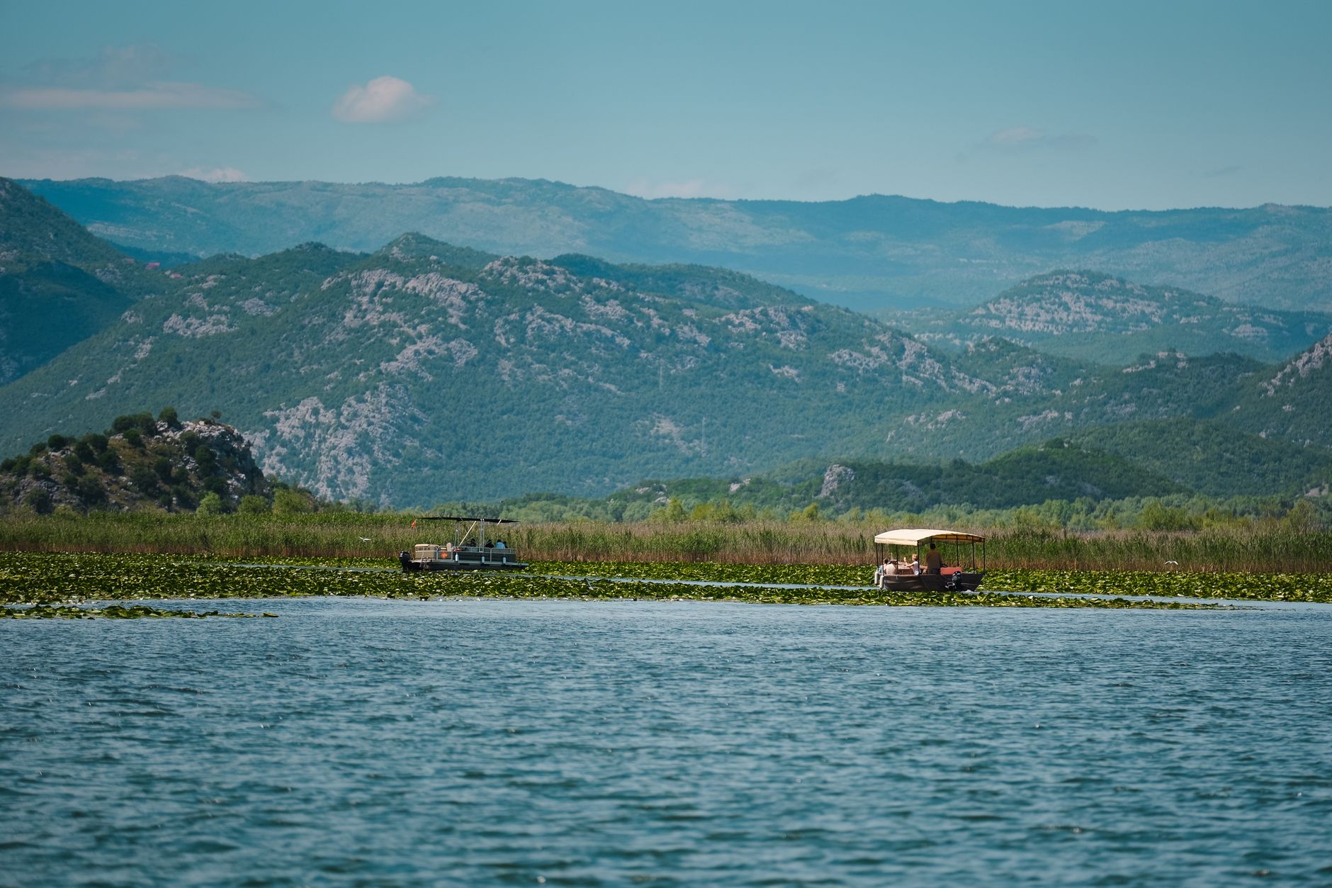 Skadar Gölü Milli Parkı (tekne turu)