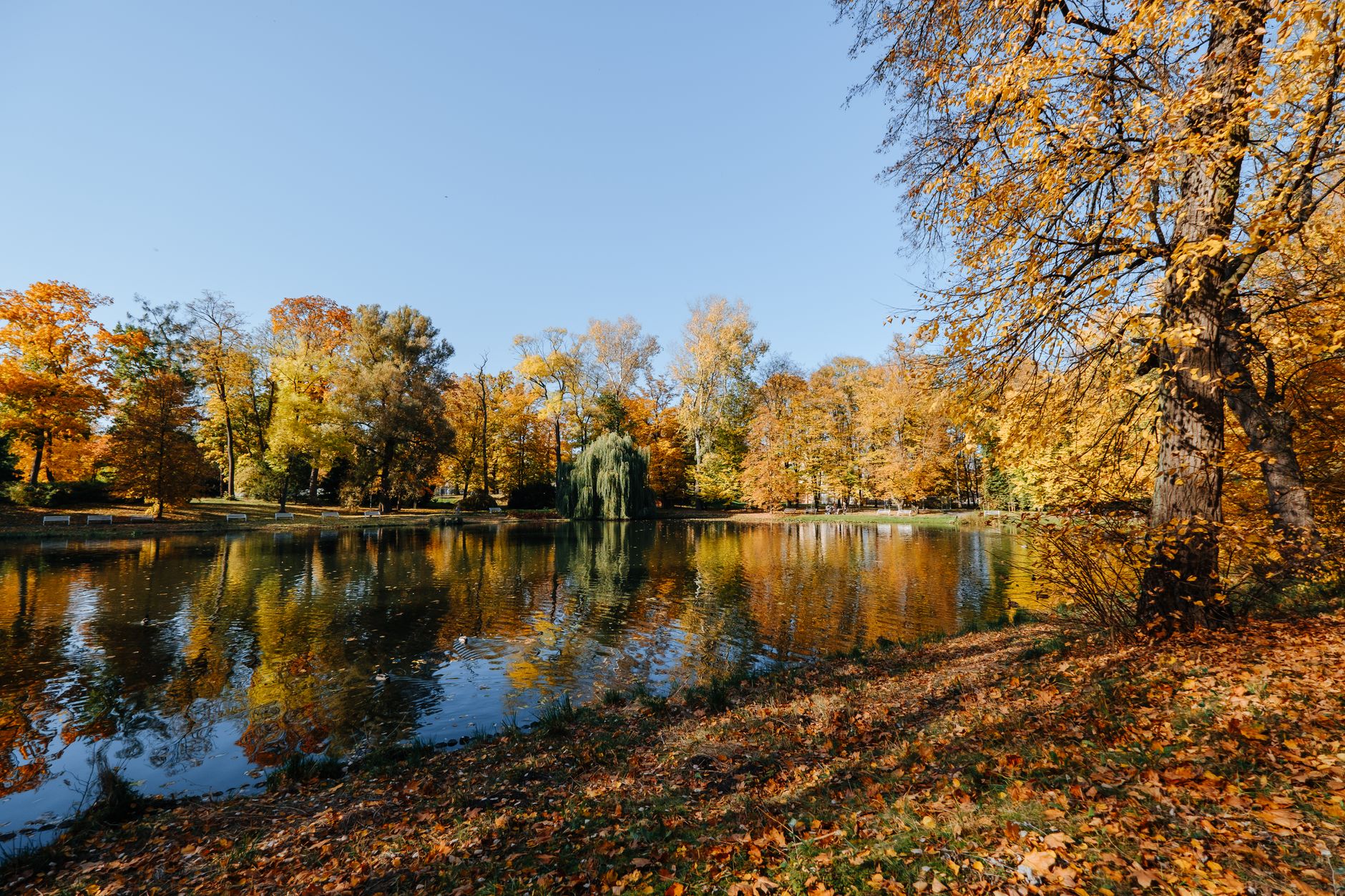 Maksimir Park