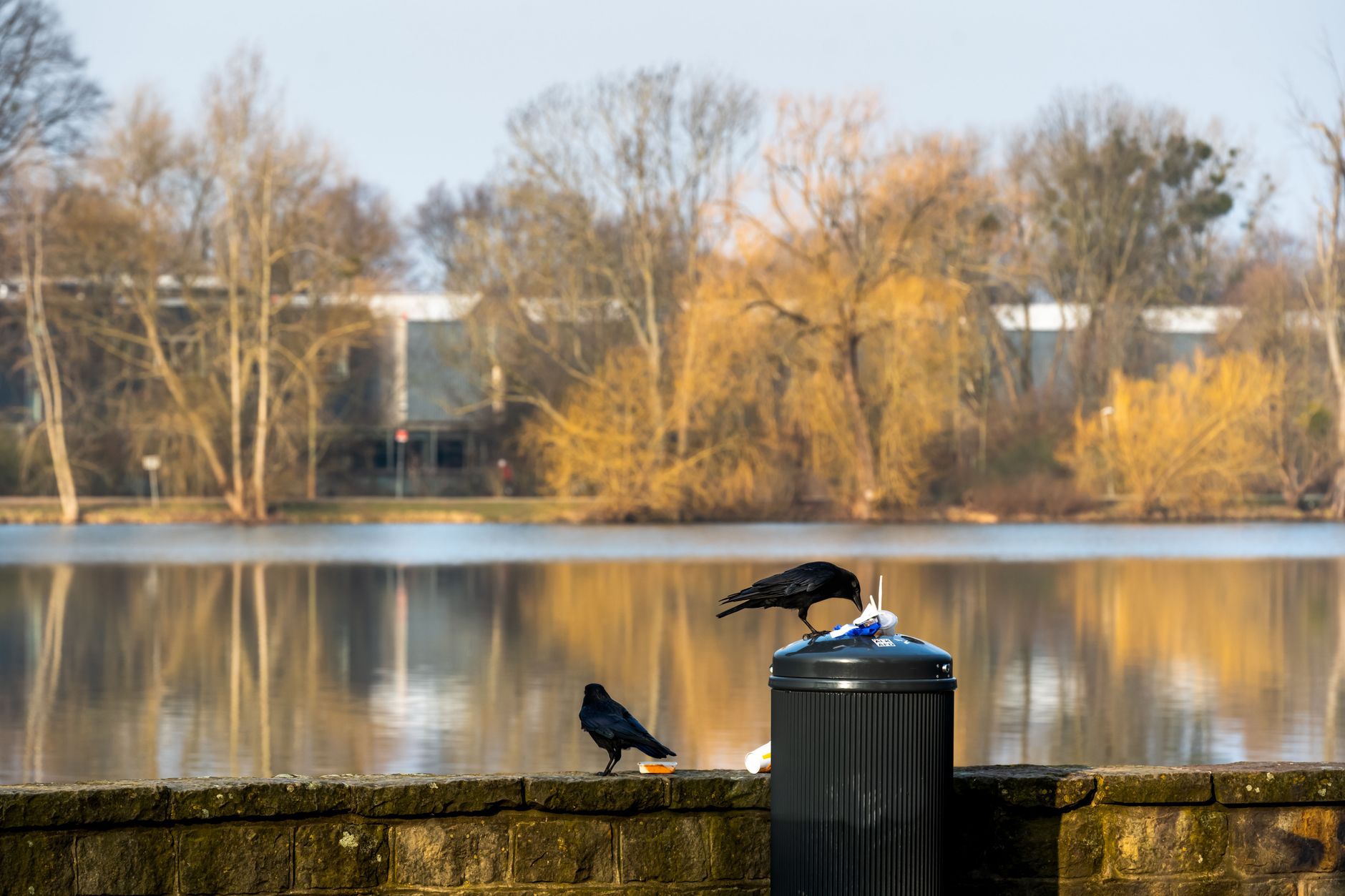 The Maschsee