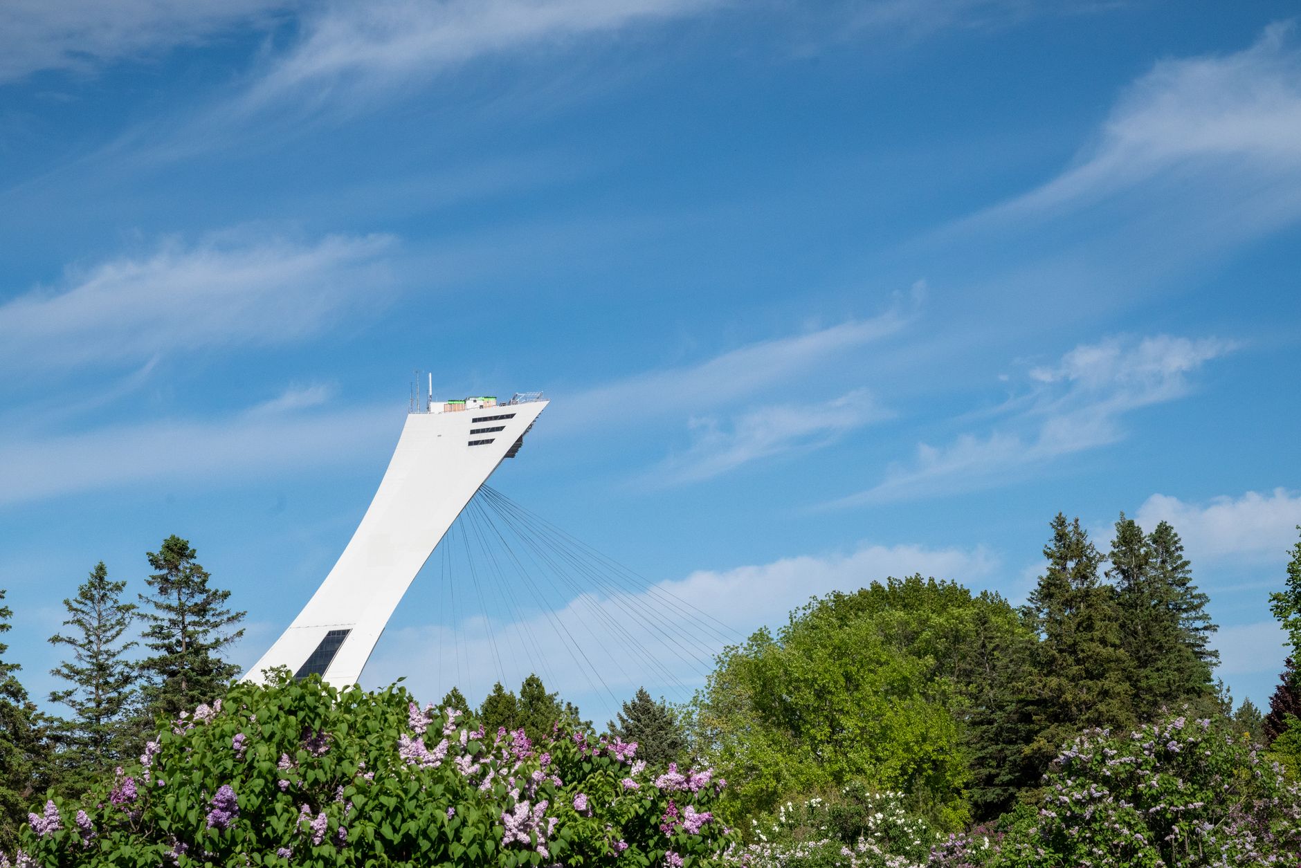 Olimpiyat Stadyumu ve Montreal Kulesi