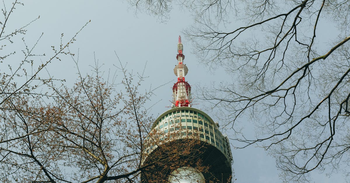 N Seoul Tower (Namsan)