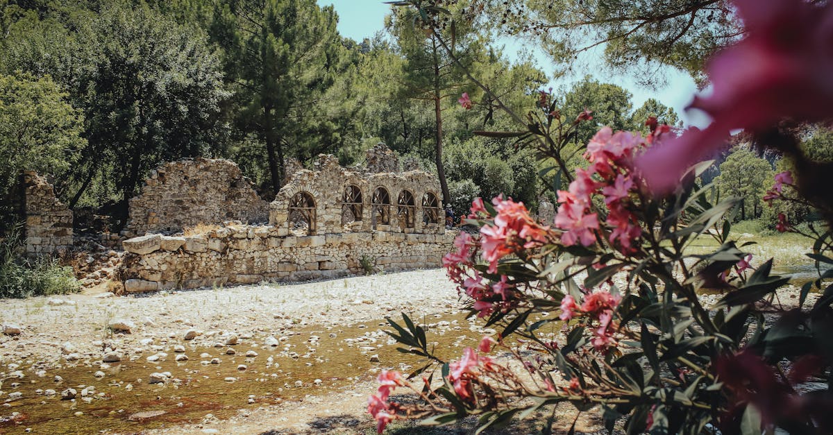 Olympos + Yanartaş