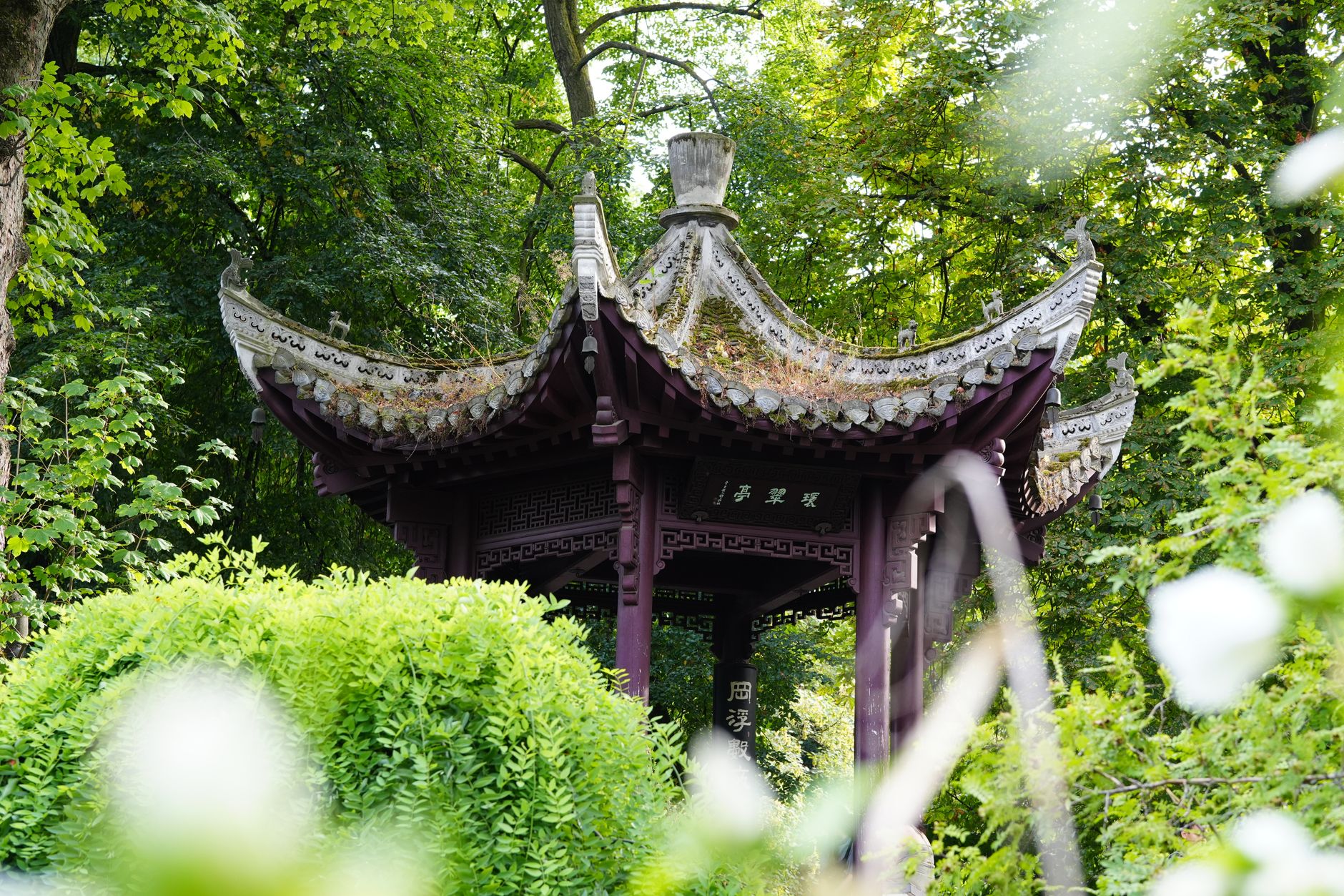 Palmengarten botanical garden