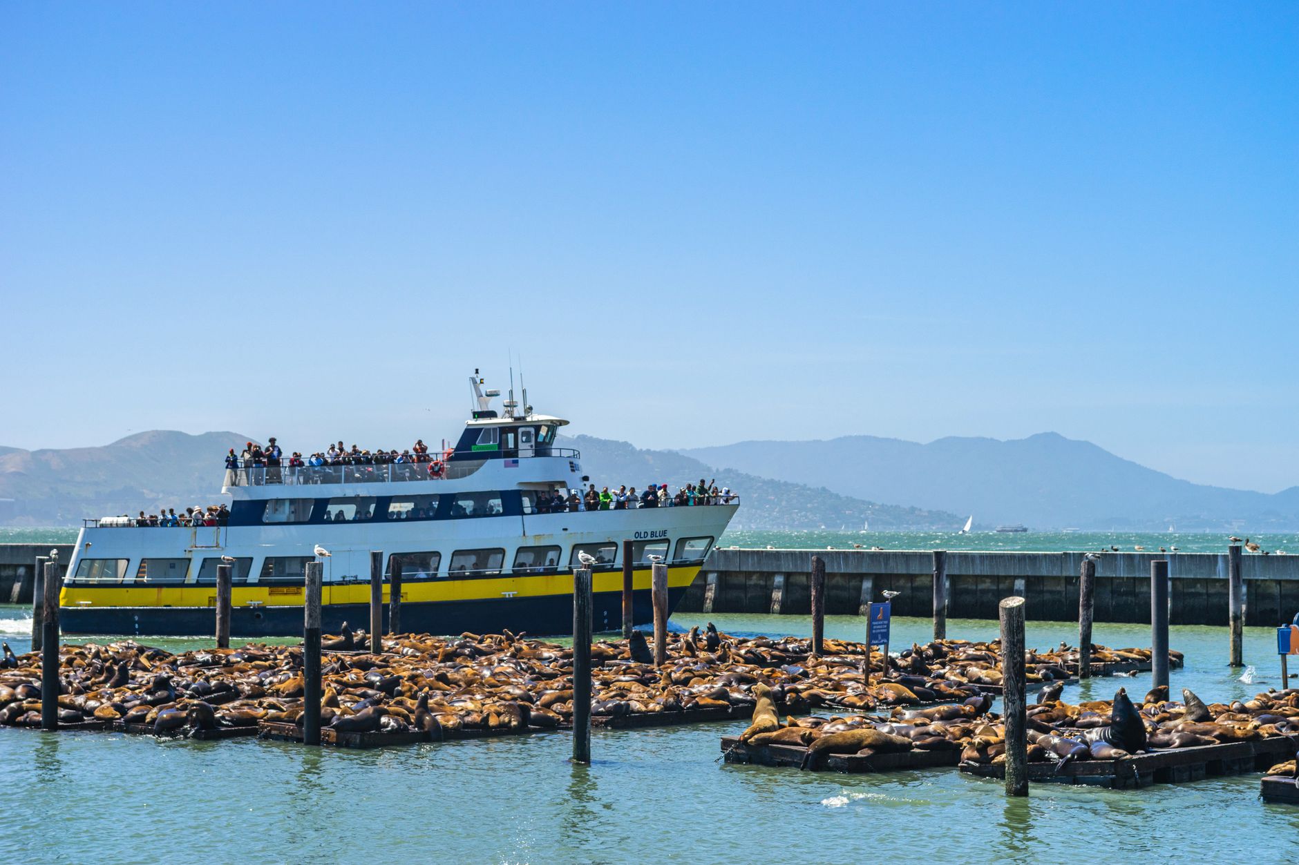 Pier 39 ve Fisherman's Wharf