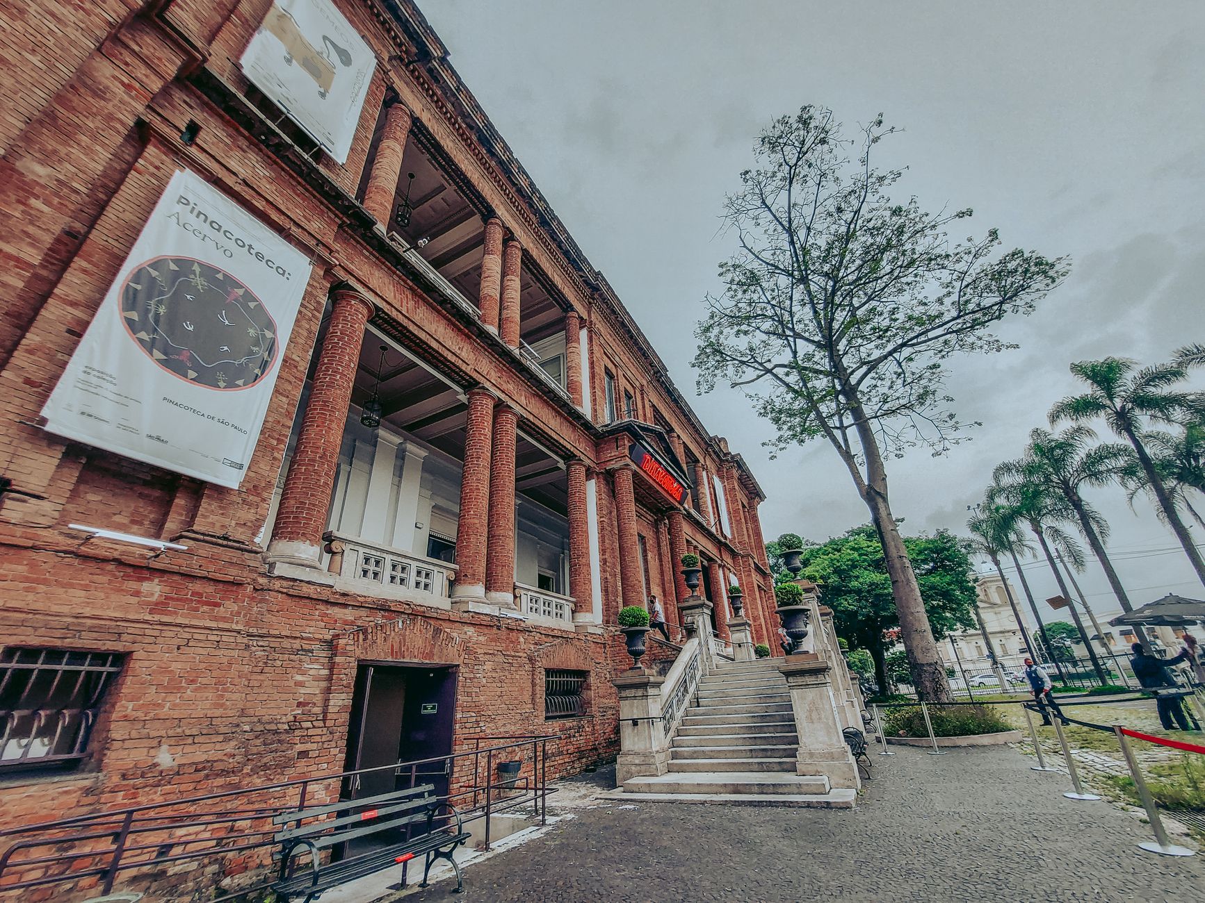 Pinacoteca and Art Museums