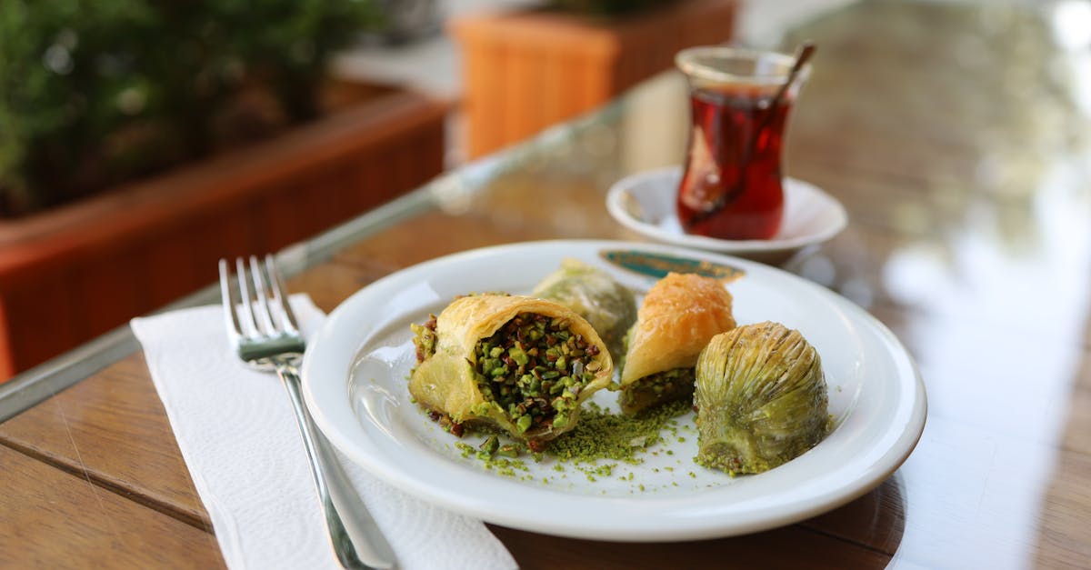 Antep fıstığı tarlaları (kasaba turu)