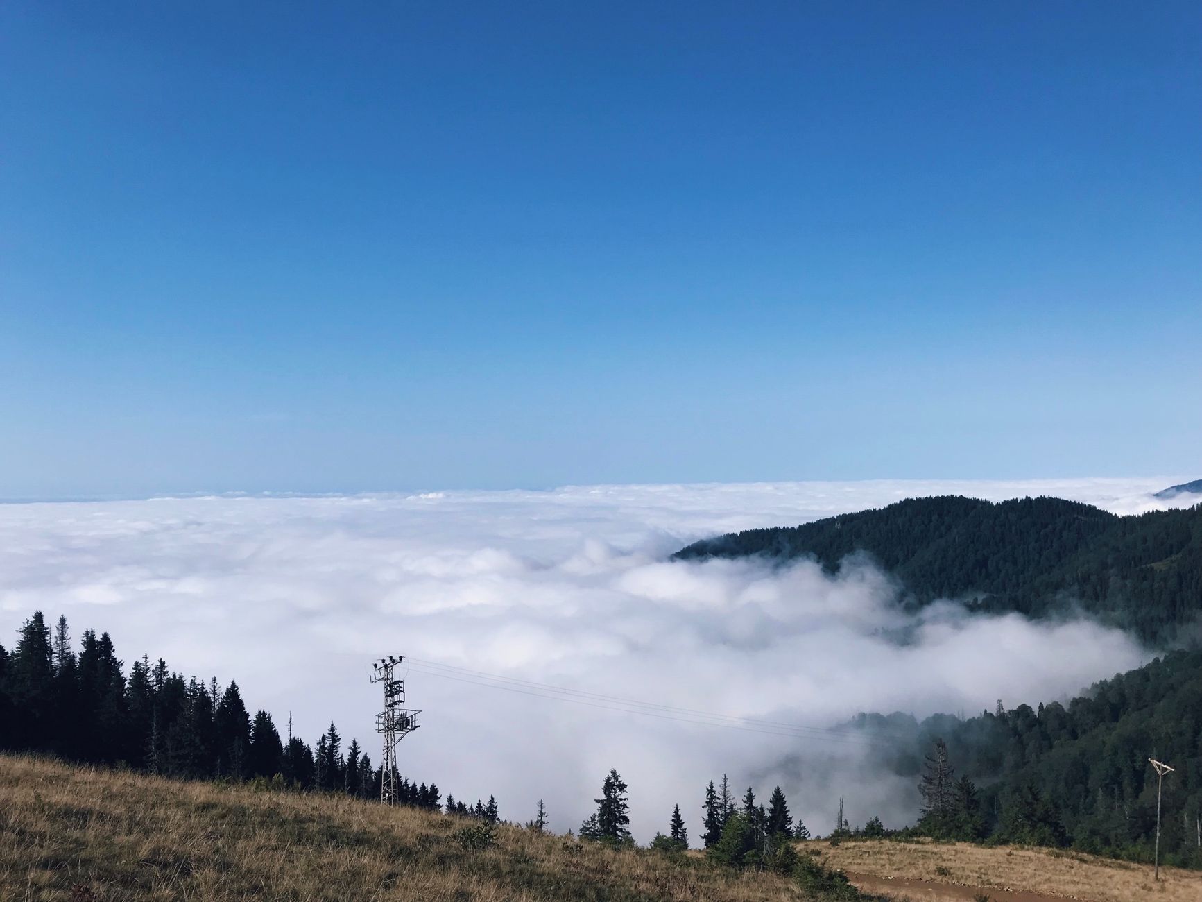 Pokut ve Sal Yaylası