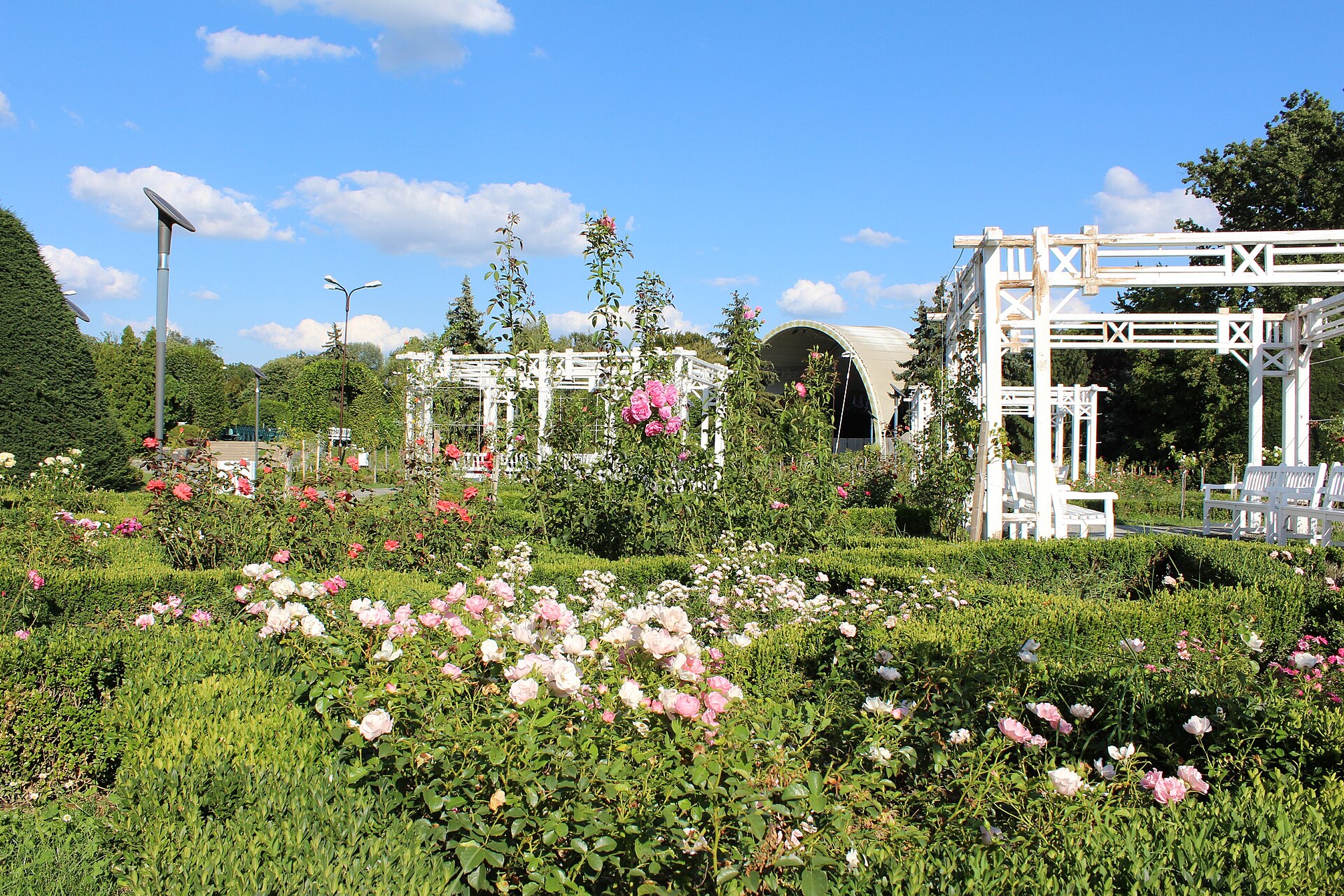 Rose Park