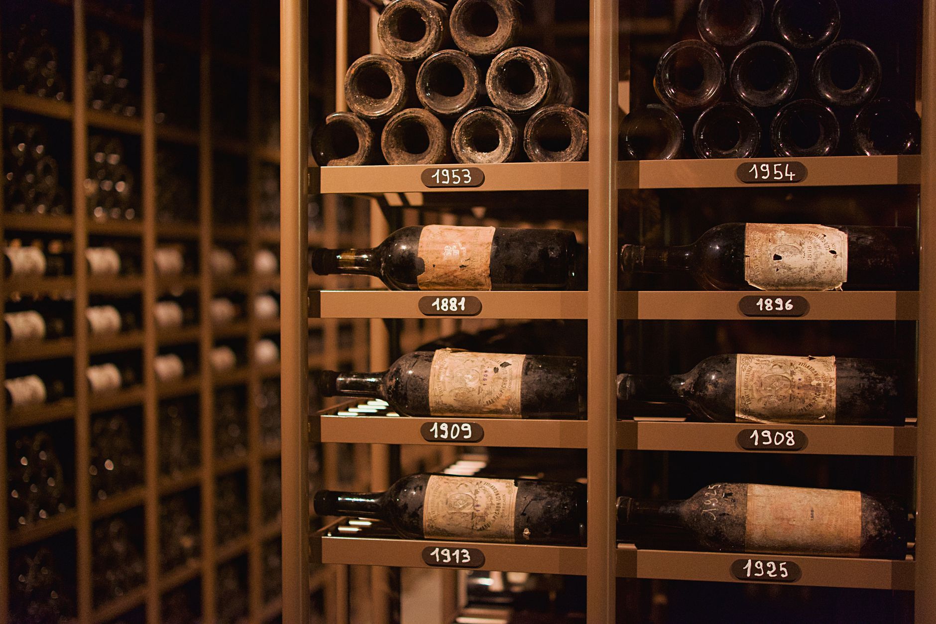 Vineyard tours and wine tasting