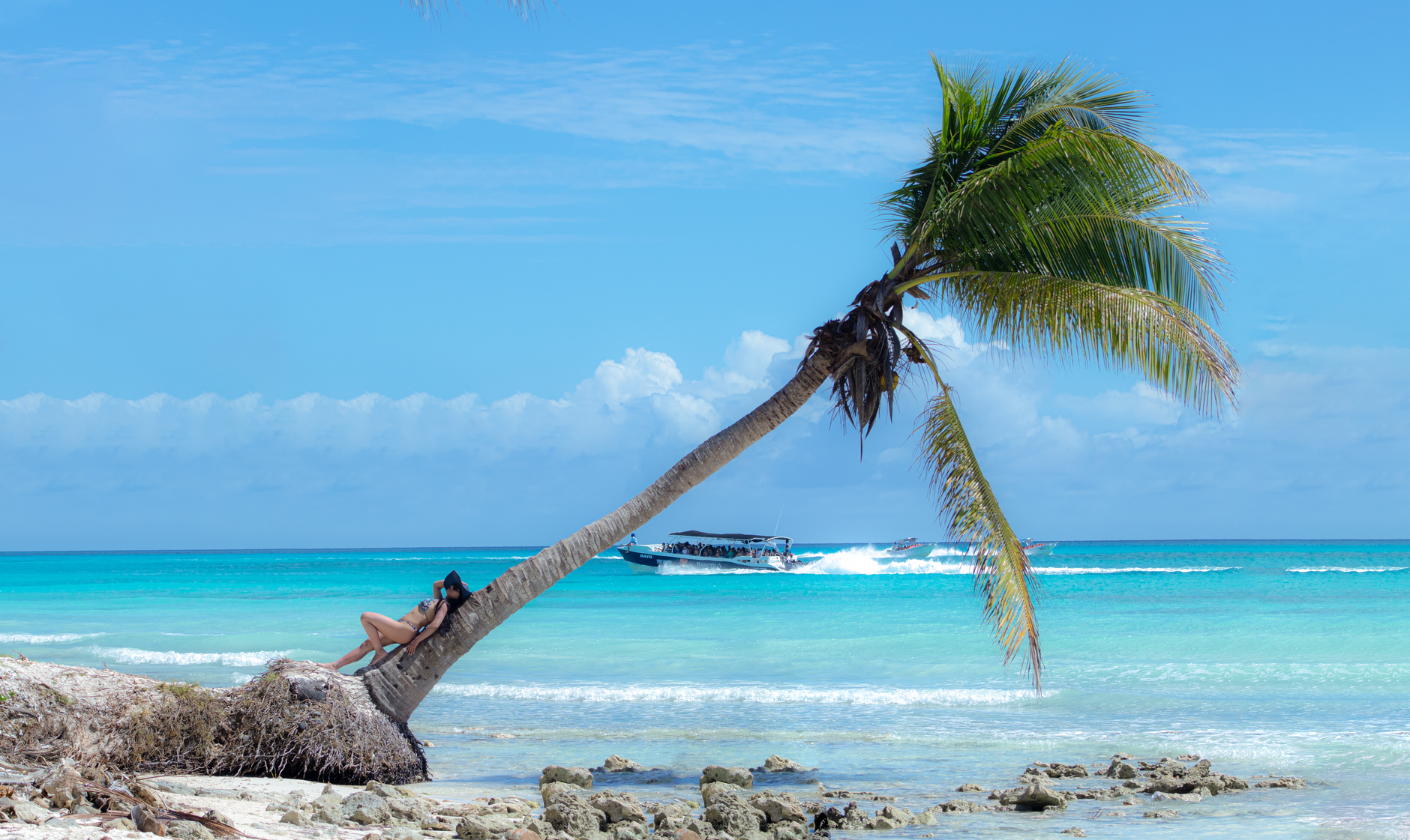 Saona Island Boat Tour