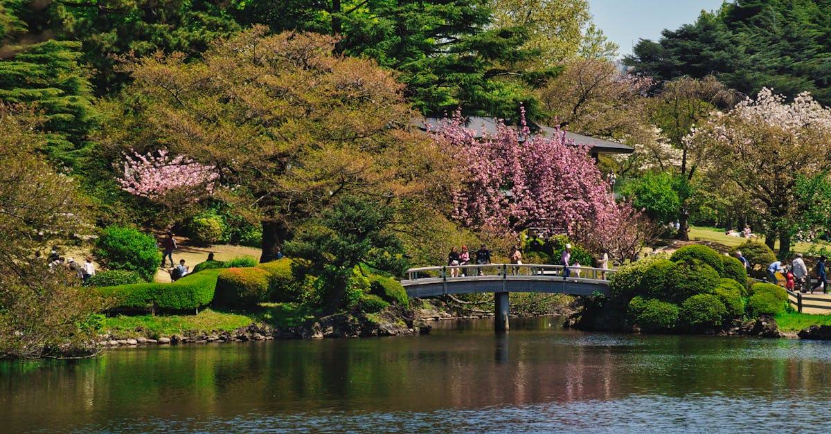 Shinjuku Gyoen + Robot Restaurant