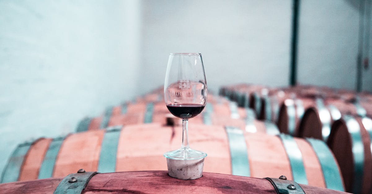 Stellenbosch şarap turu