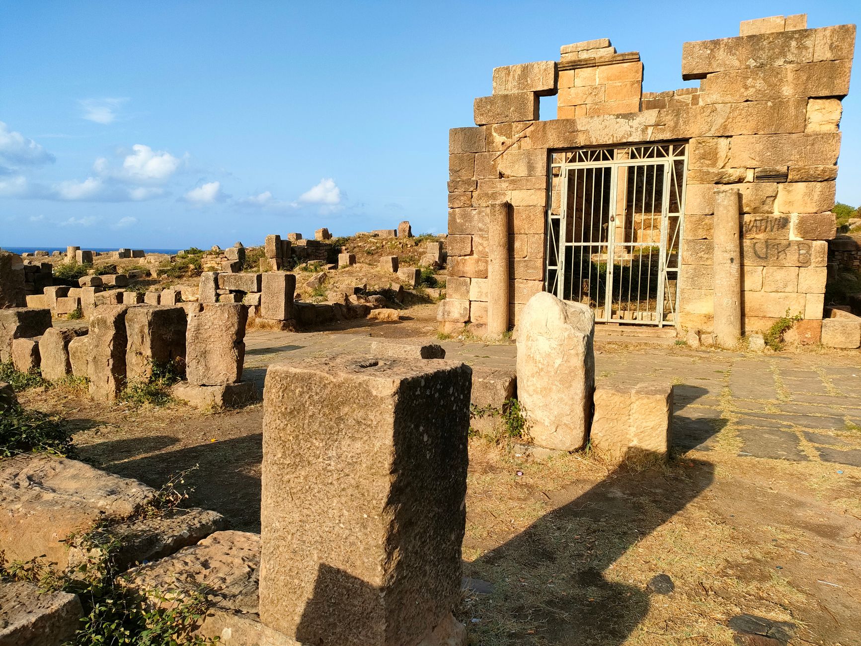 Tipaza