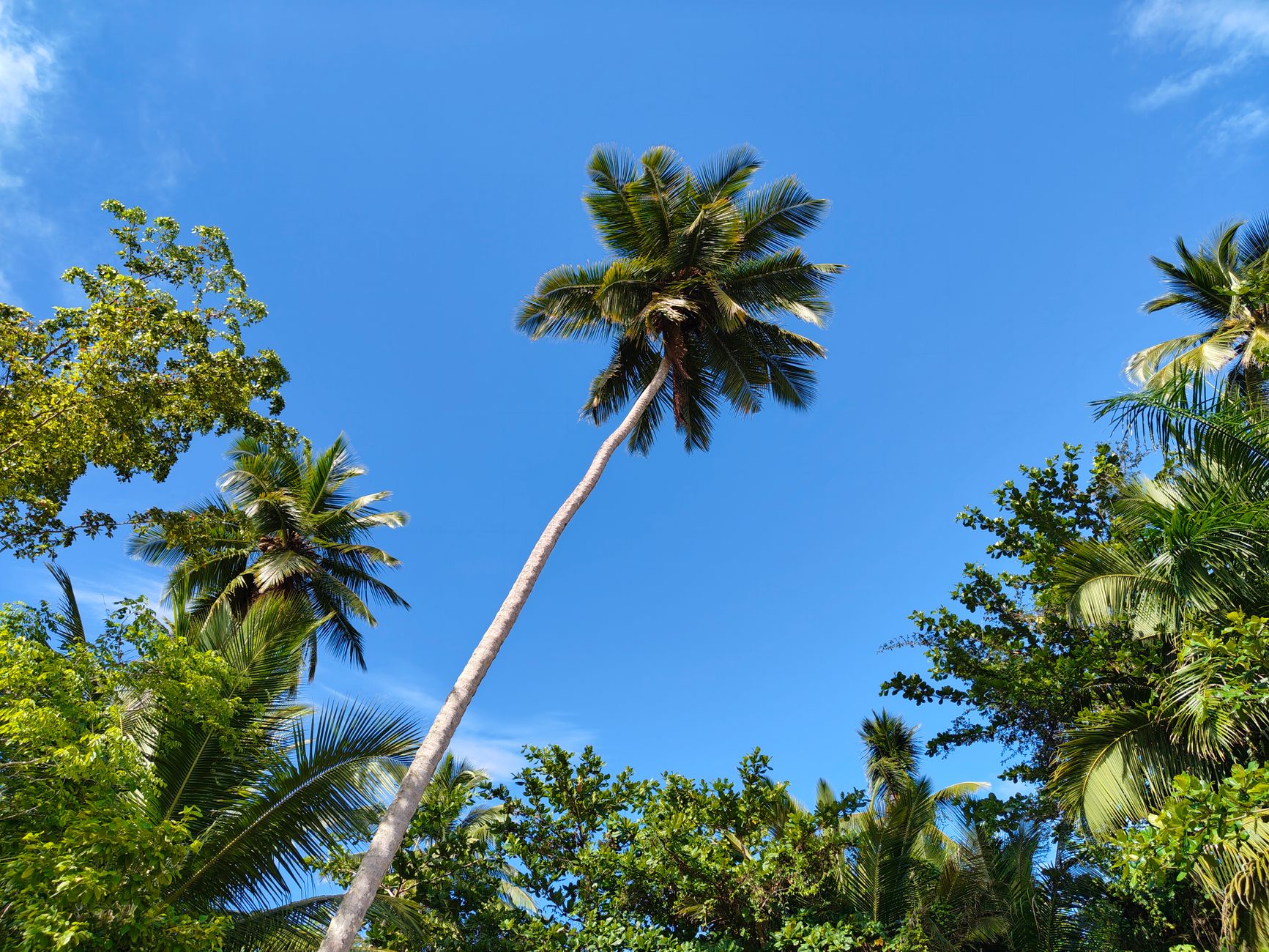 Praslin ve Vallée de Mai