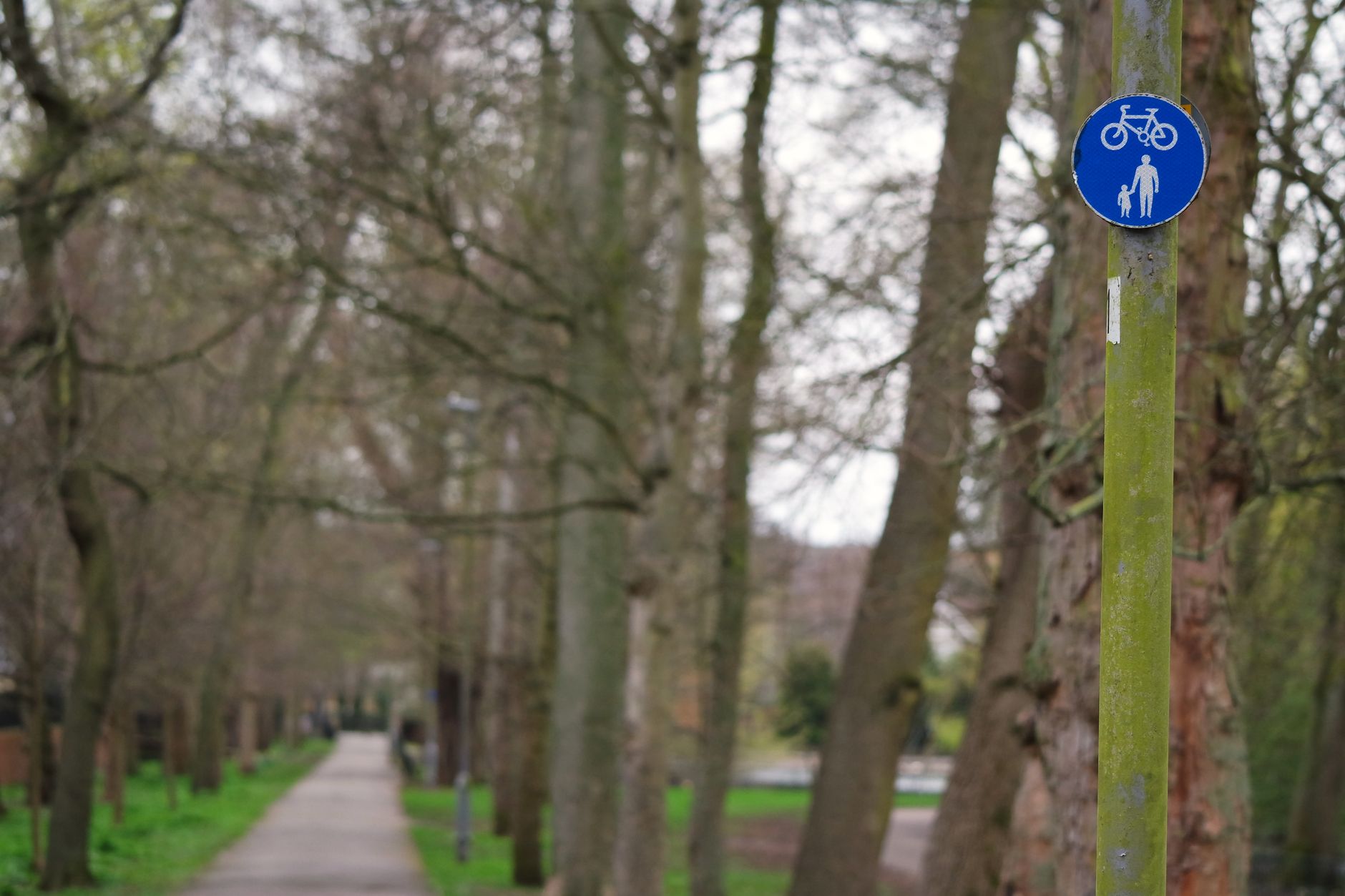 The surroundings by bike
