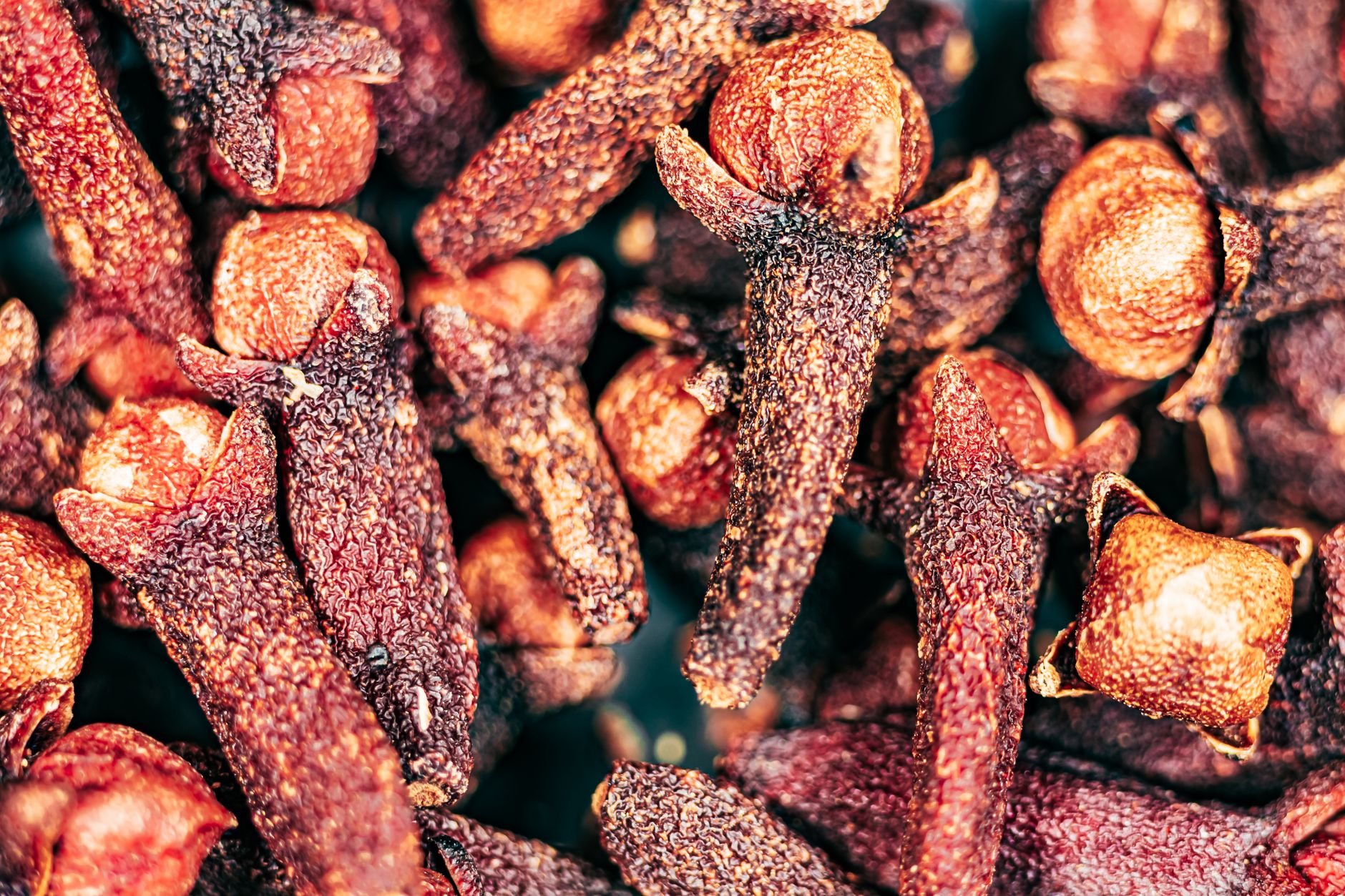 Baharat Turu (Spice Farm)