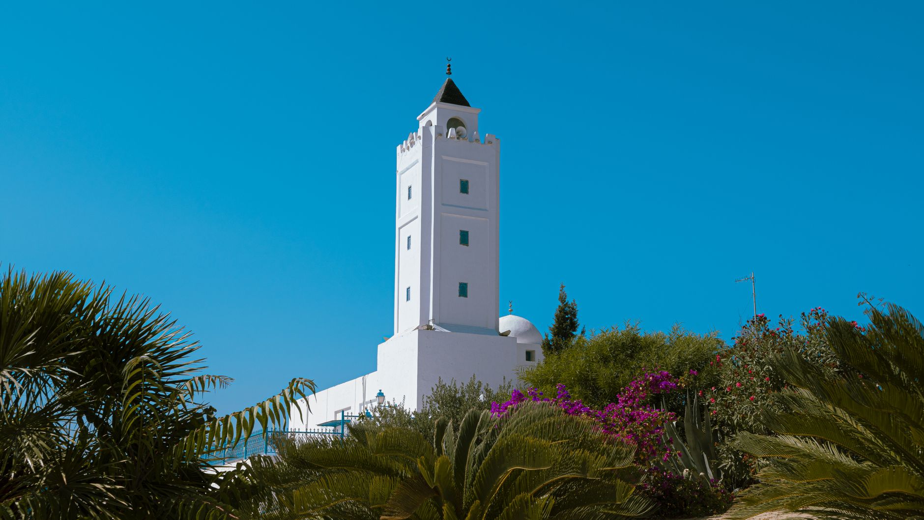 Zeytuna Camii